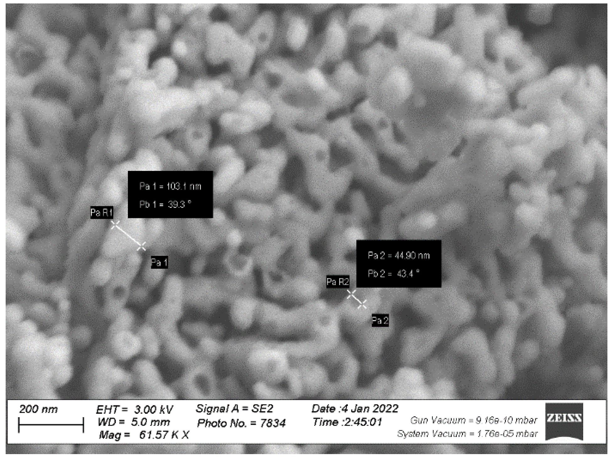 Plants 14 00544 g003