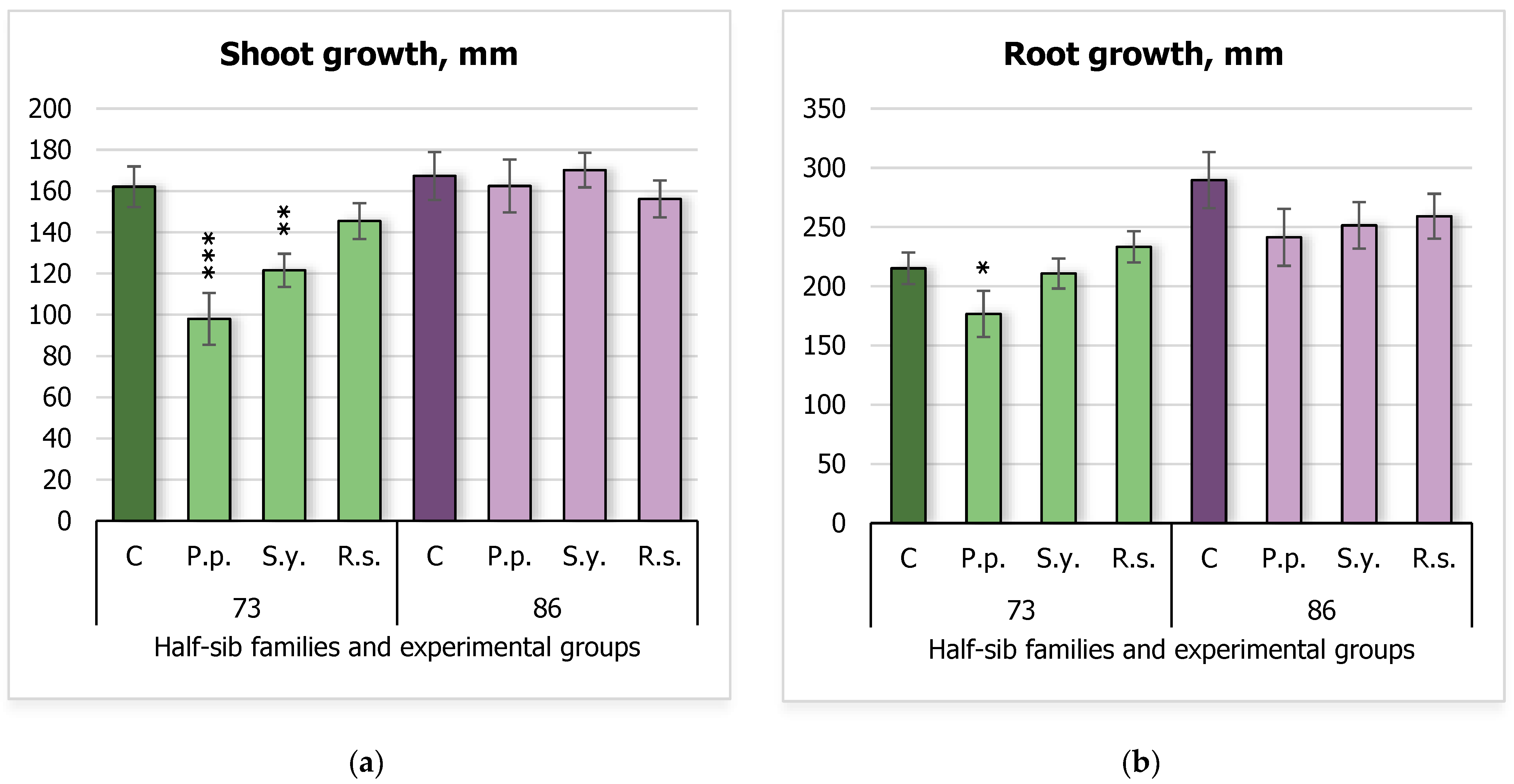 Plants 14 00545 g001