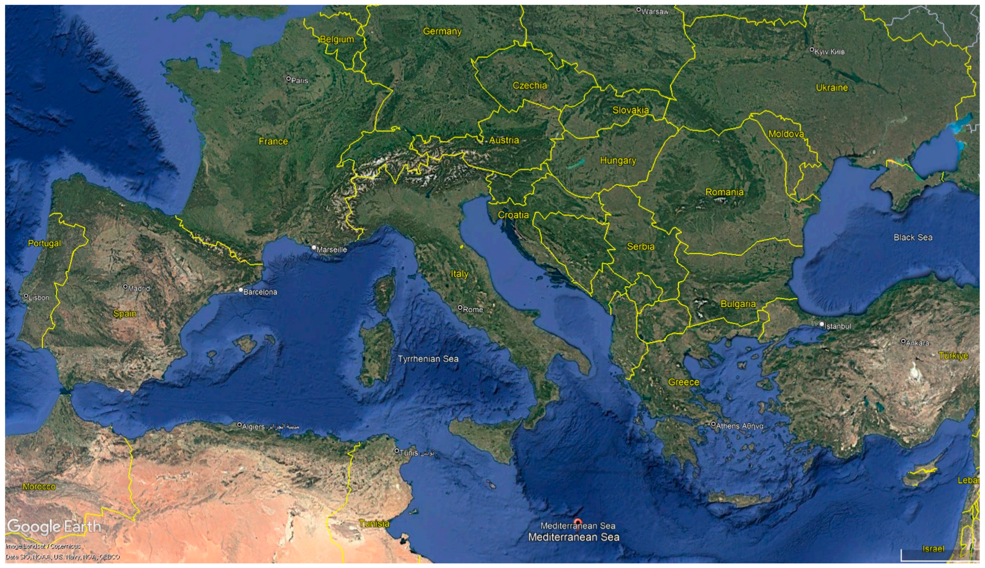 Plants 14 00546 g002