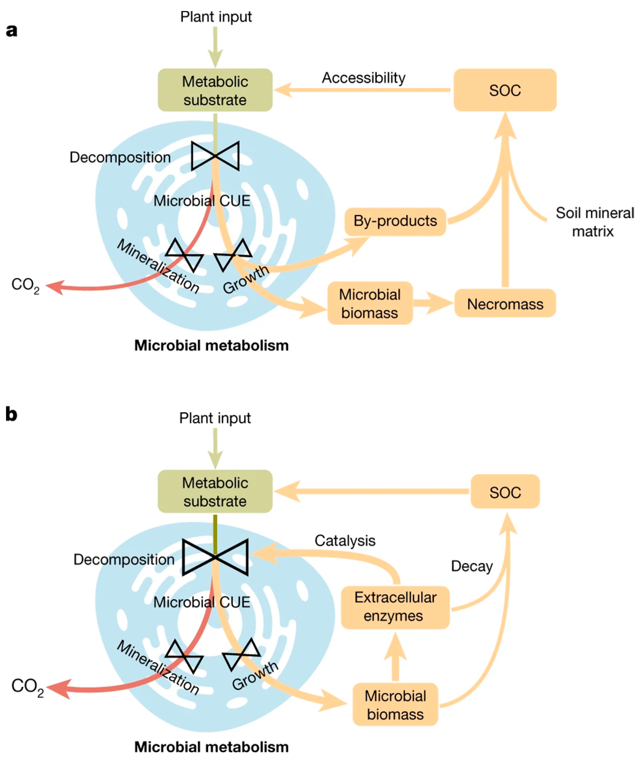 Plants 14 00546 g003
