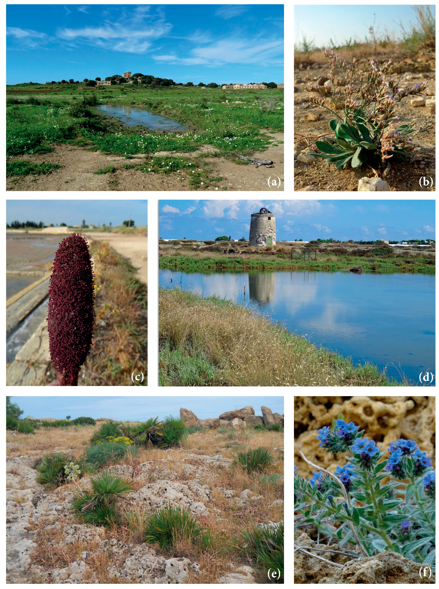 Plants 14 00548 g002