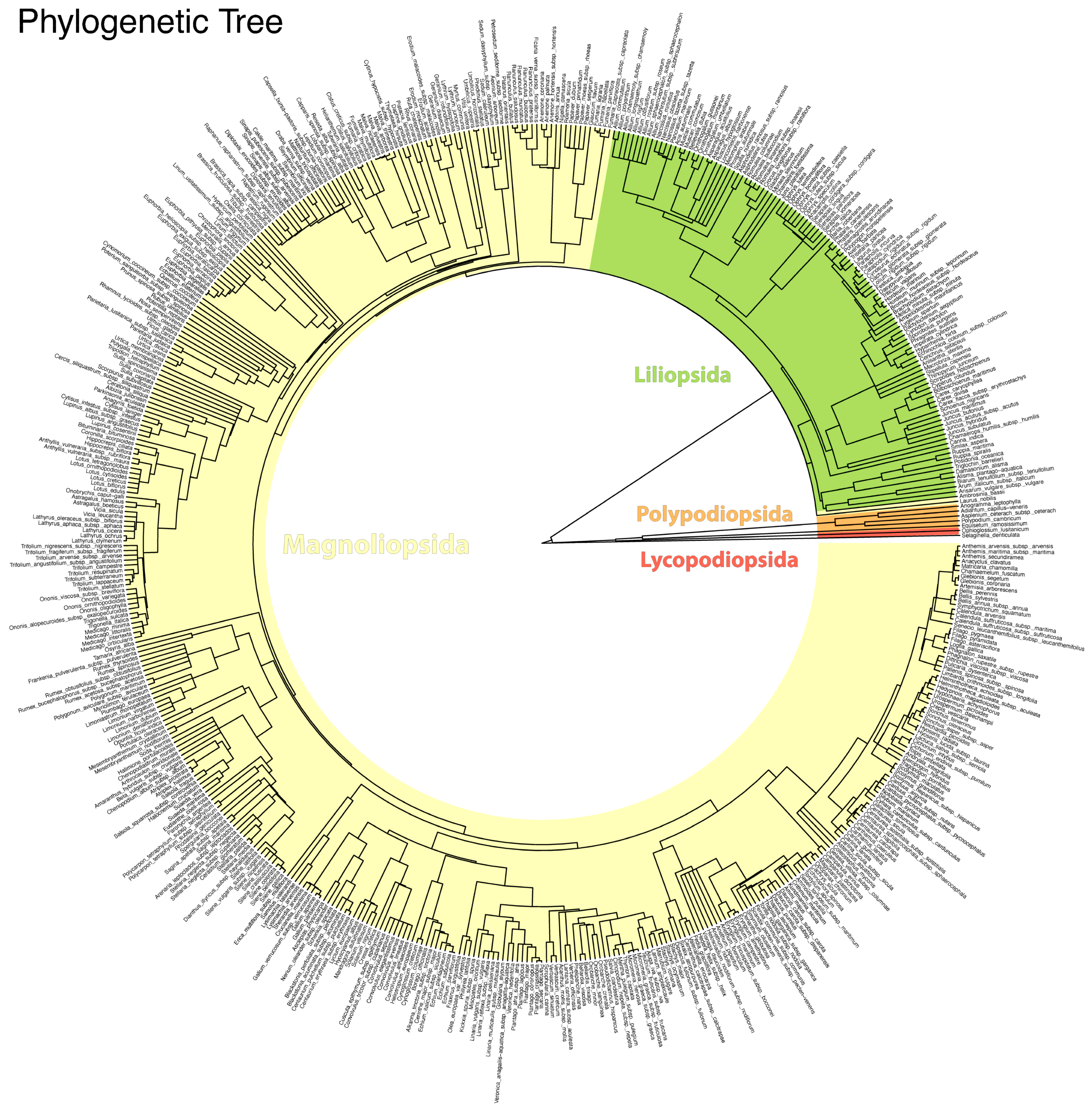Plants 14 00548 g005