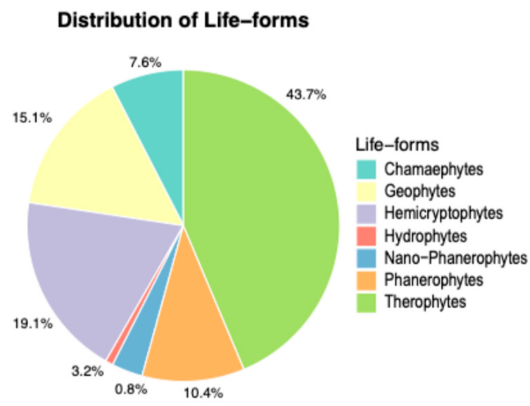 Plants 14 00548 g007