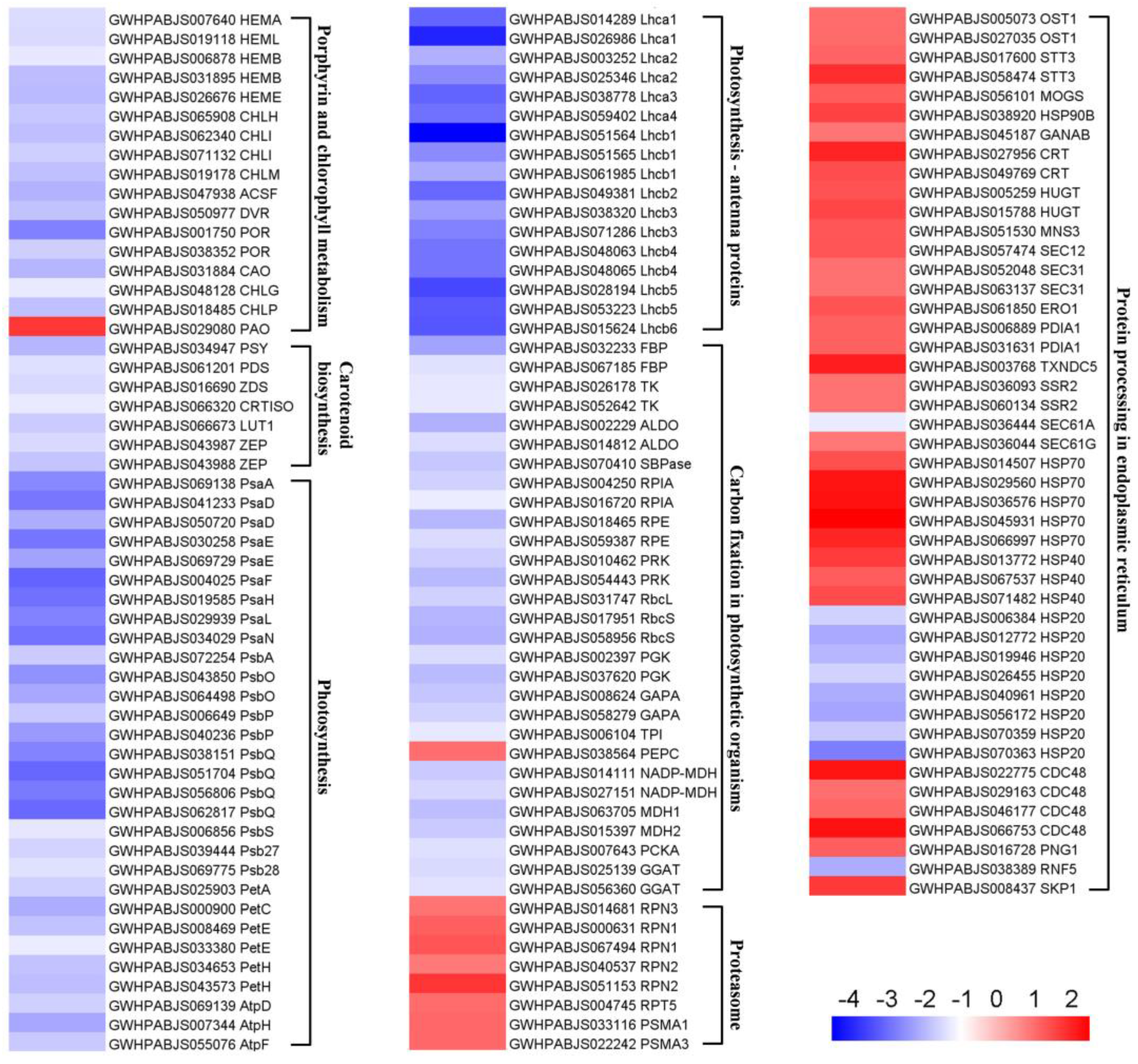 Plants 14 00549 g007