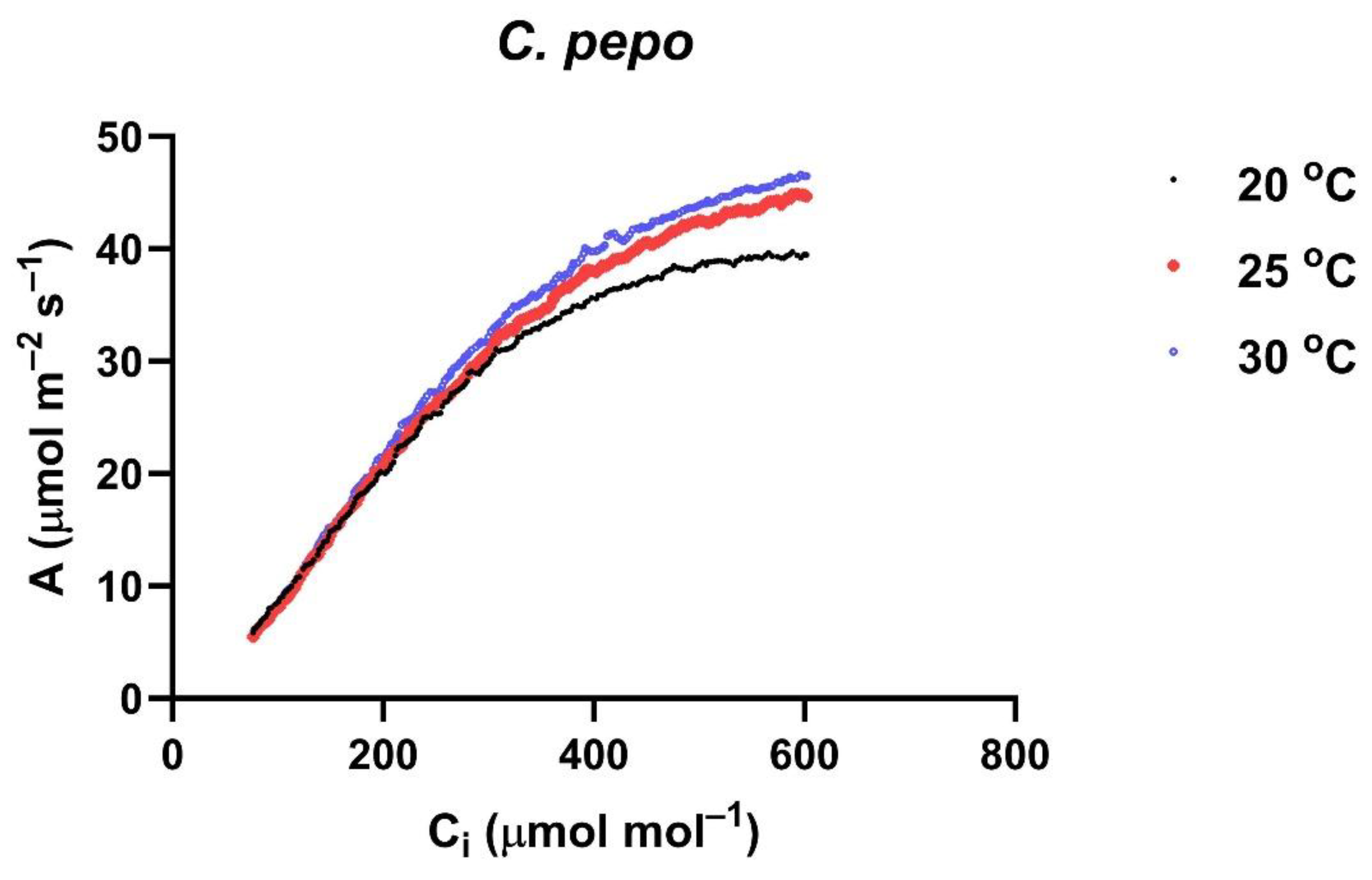 Plants 14 00550 g006