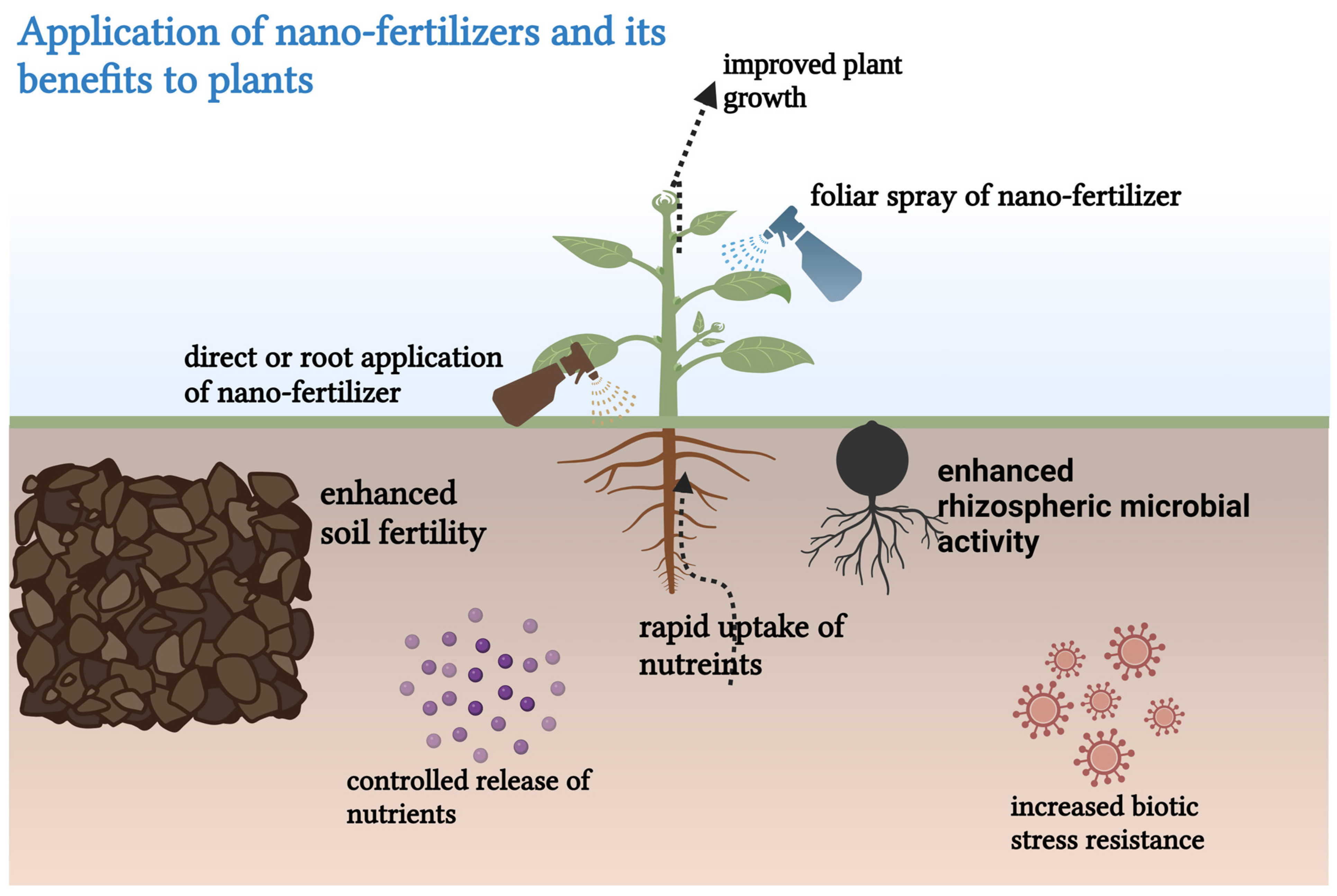 Plants 14 00554 g002