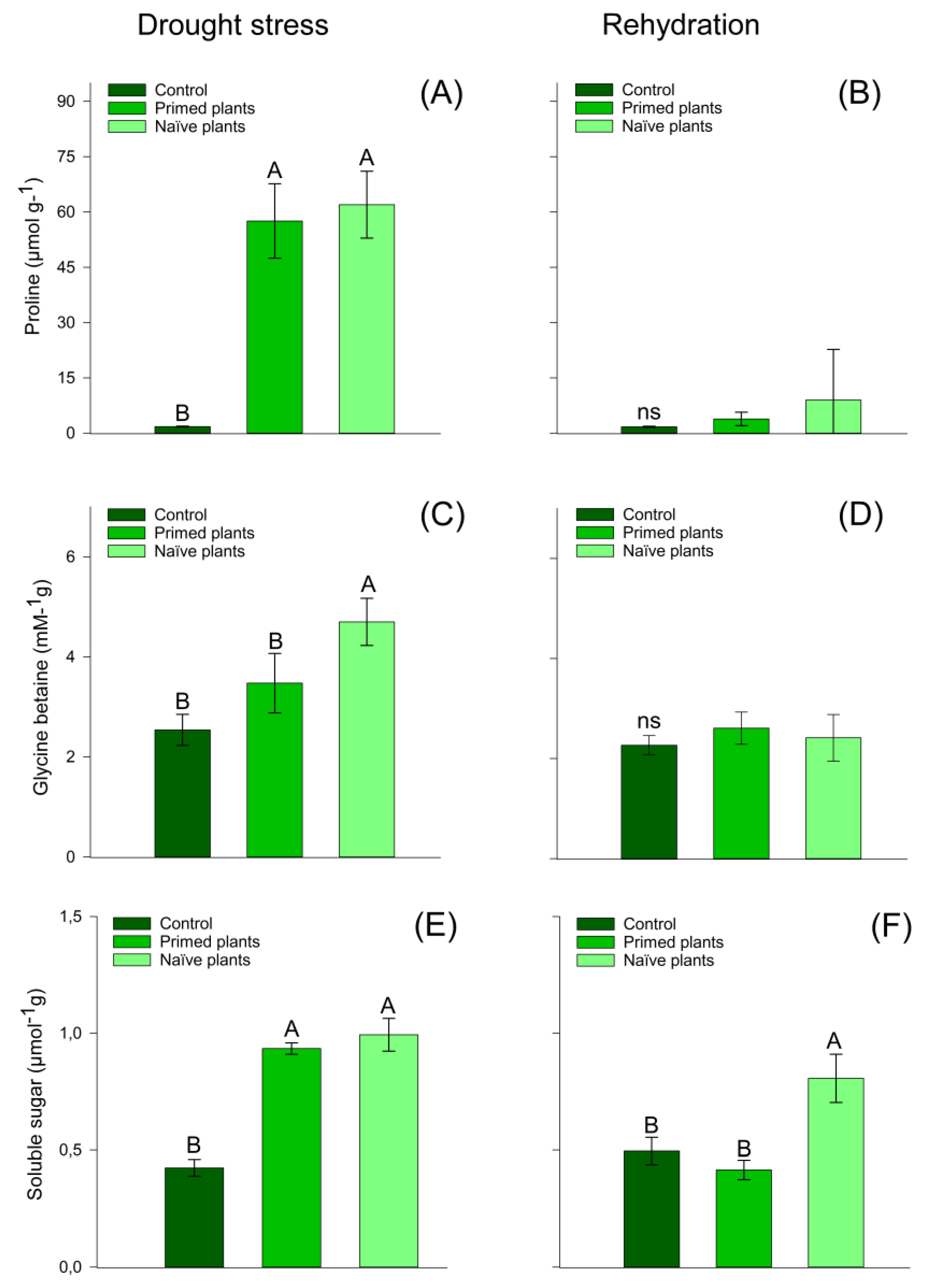 Plants 14 00555 g003
