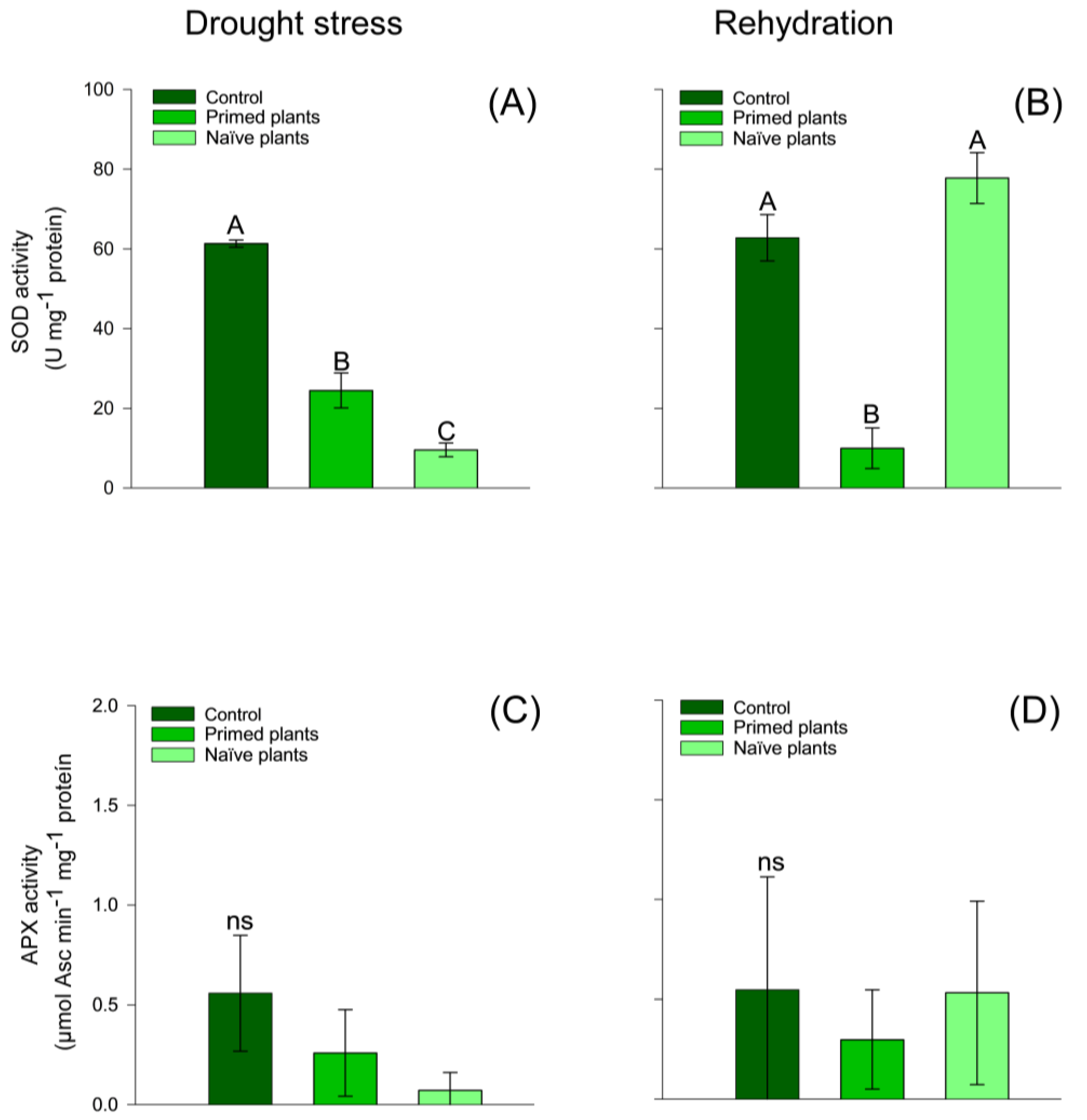 Plants 14 00555 g004