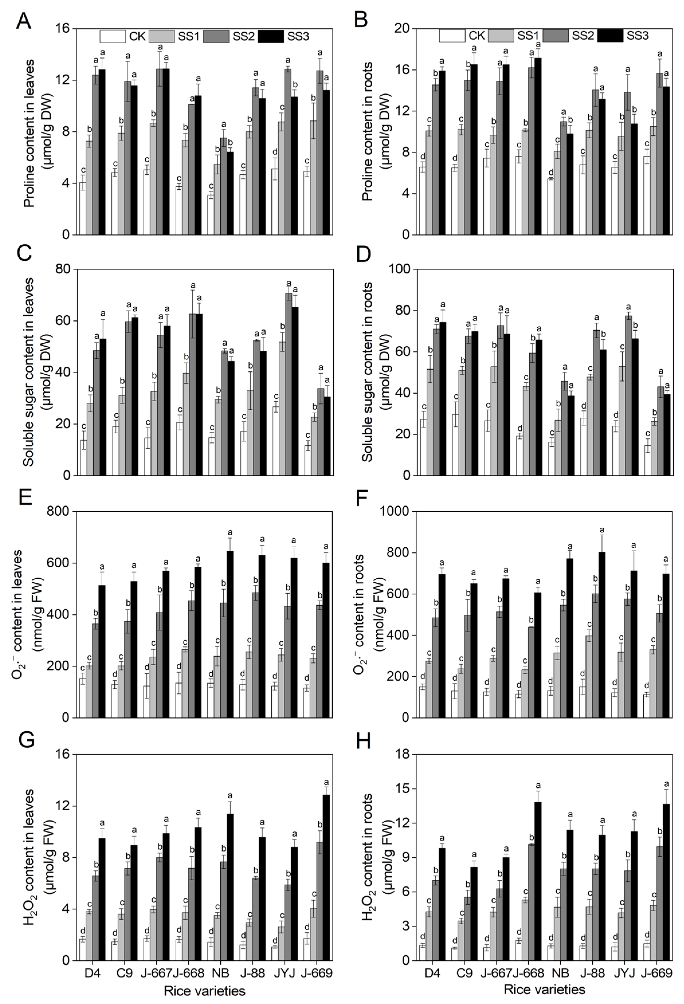 Plants 14 00556 g004