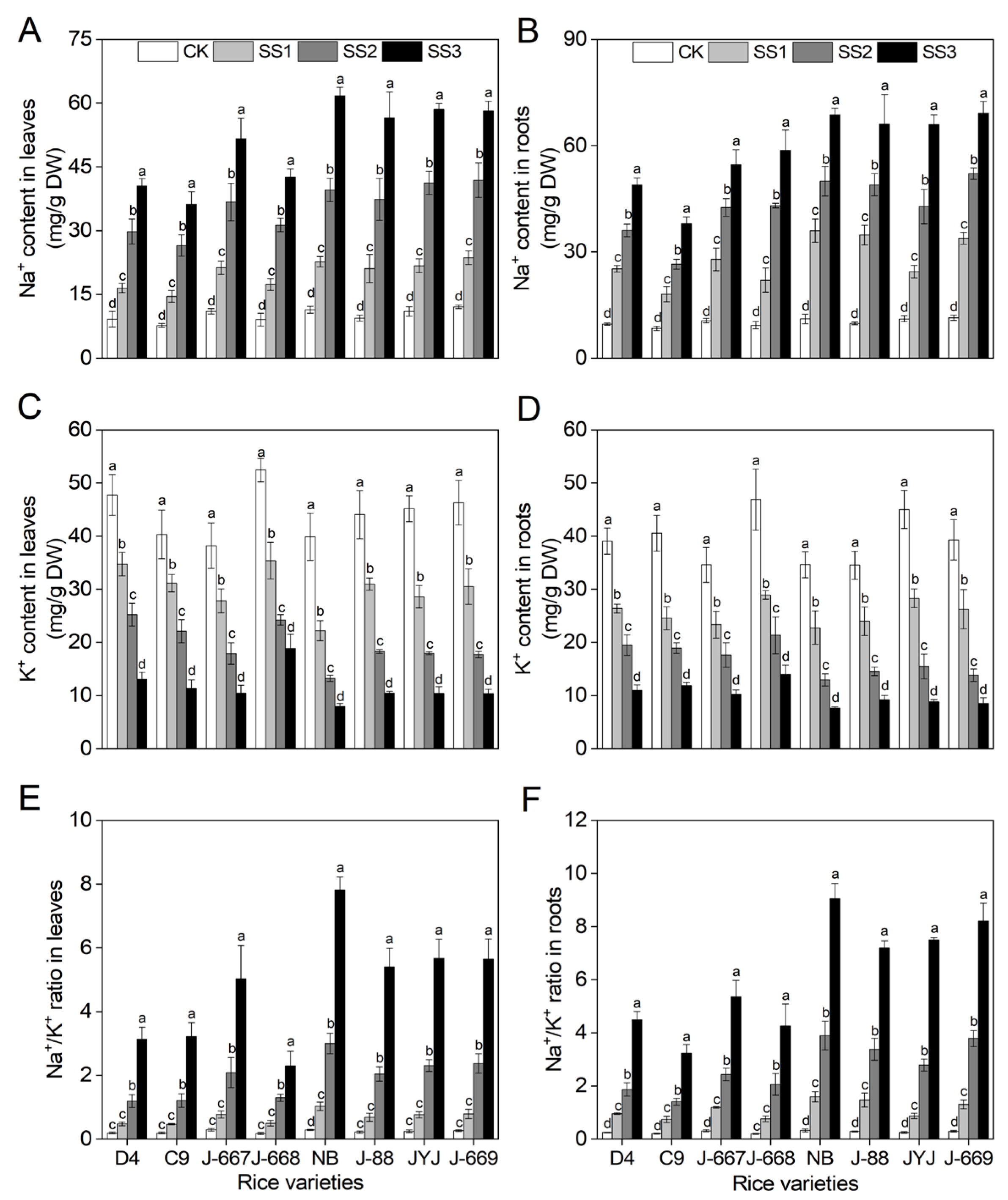 Plants 14 00556 g005