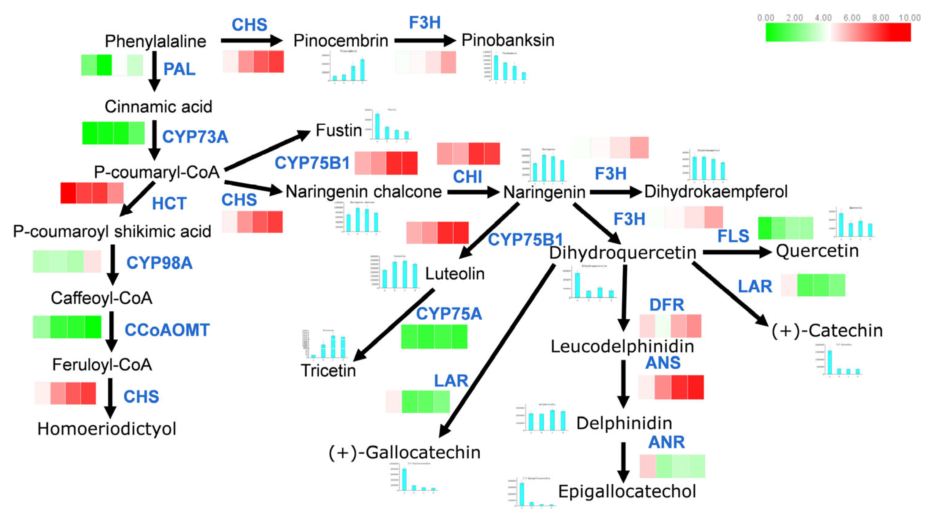 Plants 14 00558 g006