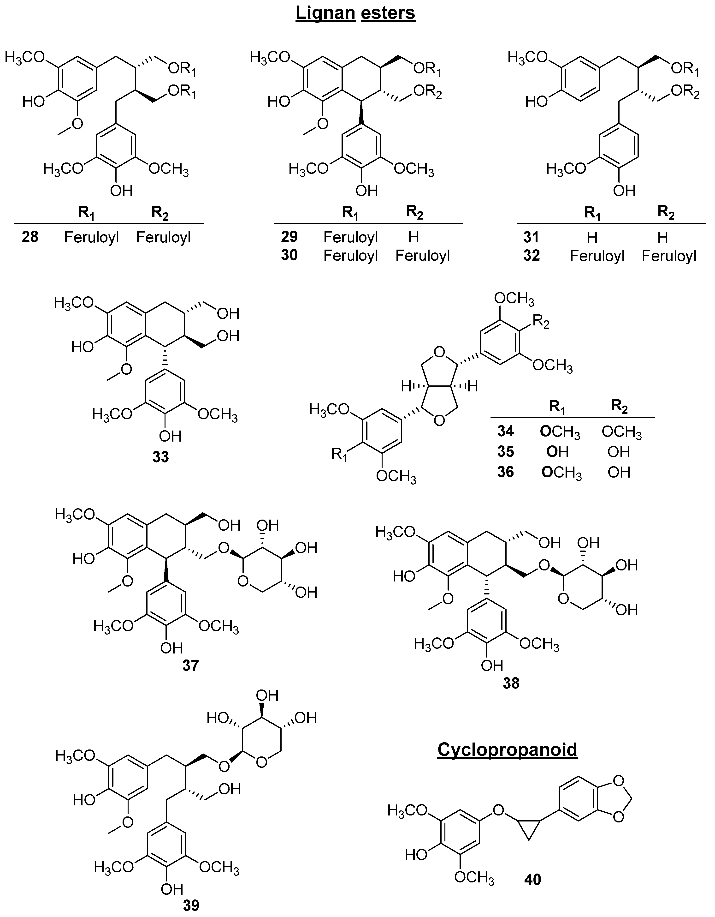 Plants 14 00562 g004