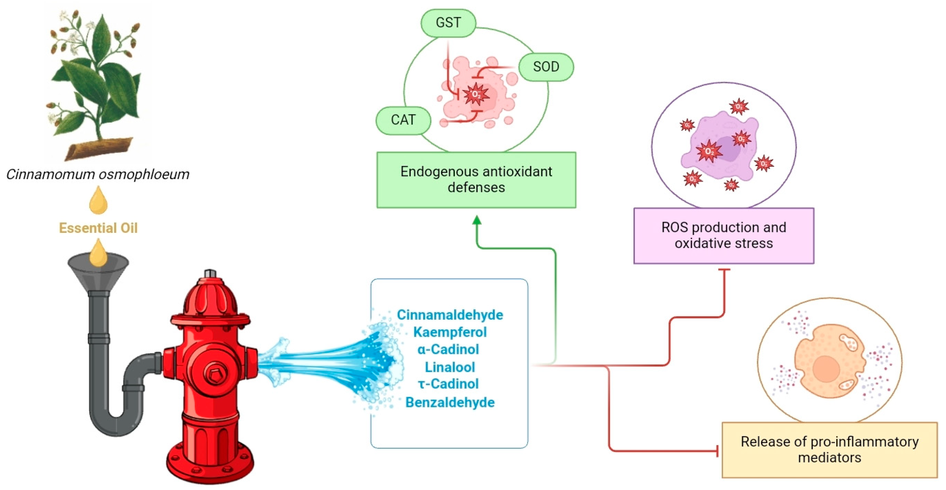 Plants 14 00562 g005