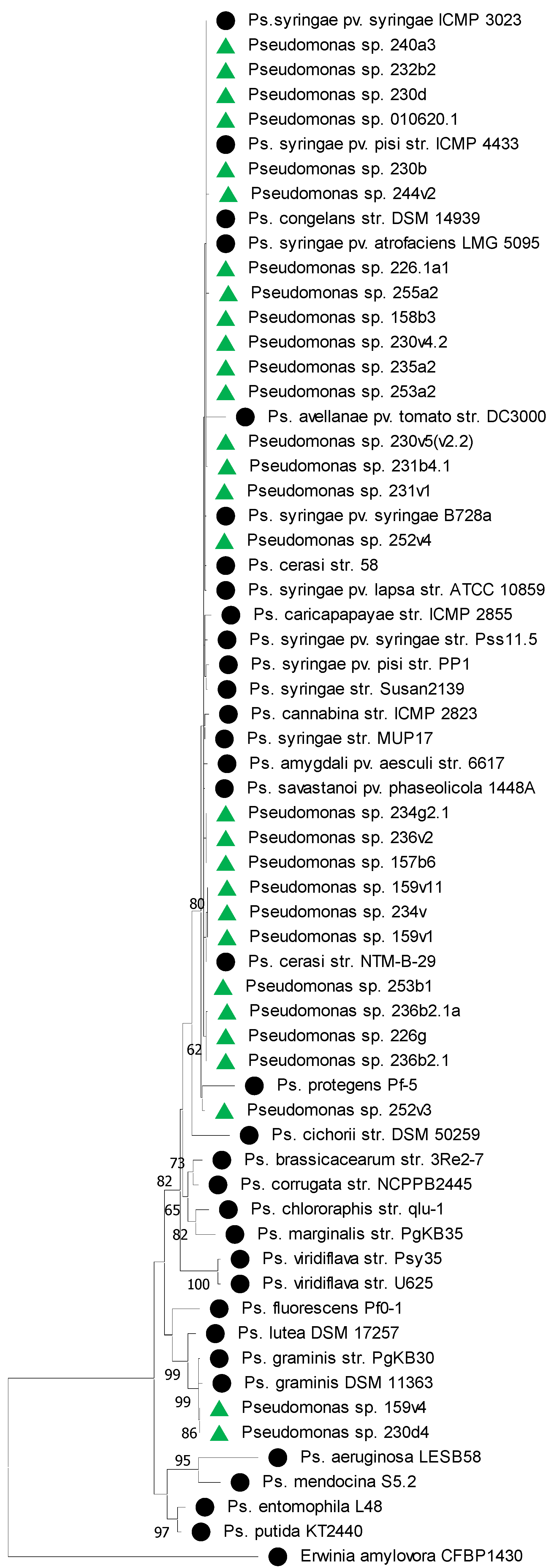 Plants 14 00563 g002