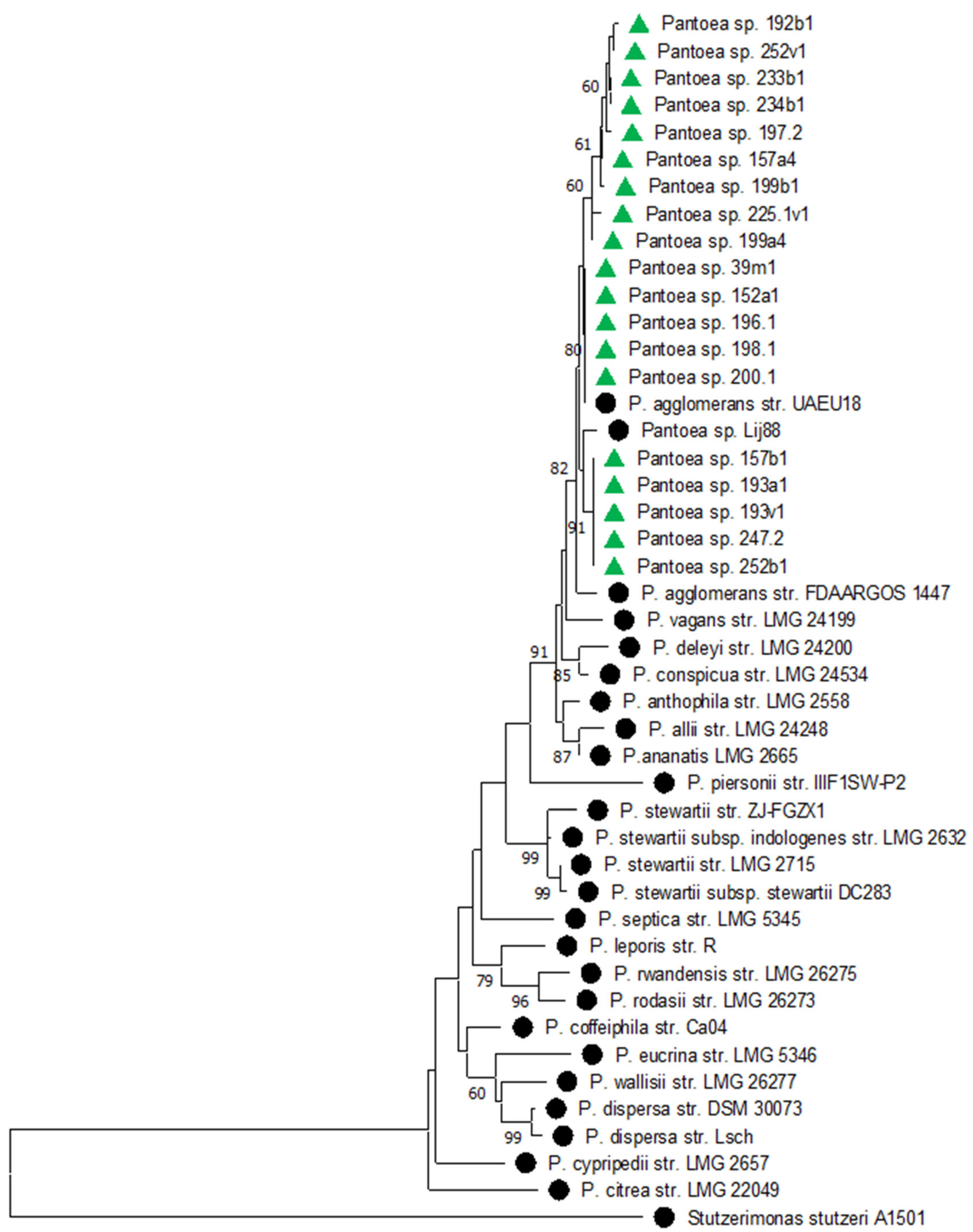 Plants 14 00563 g003