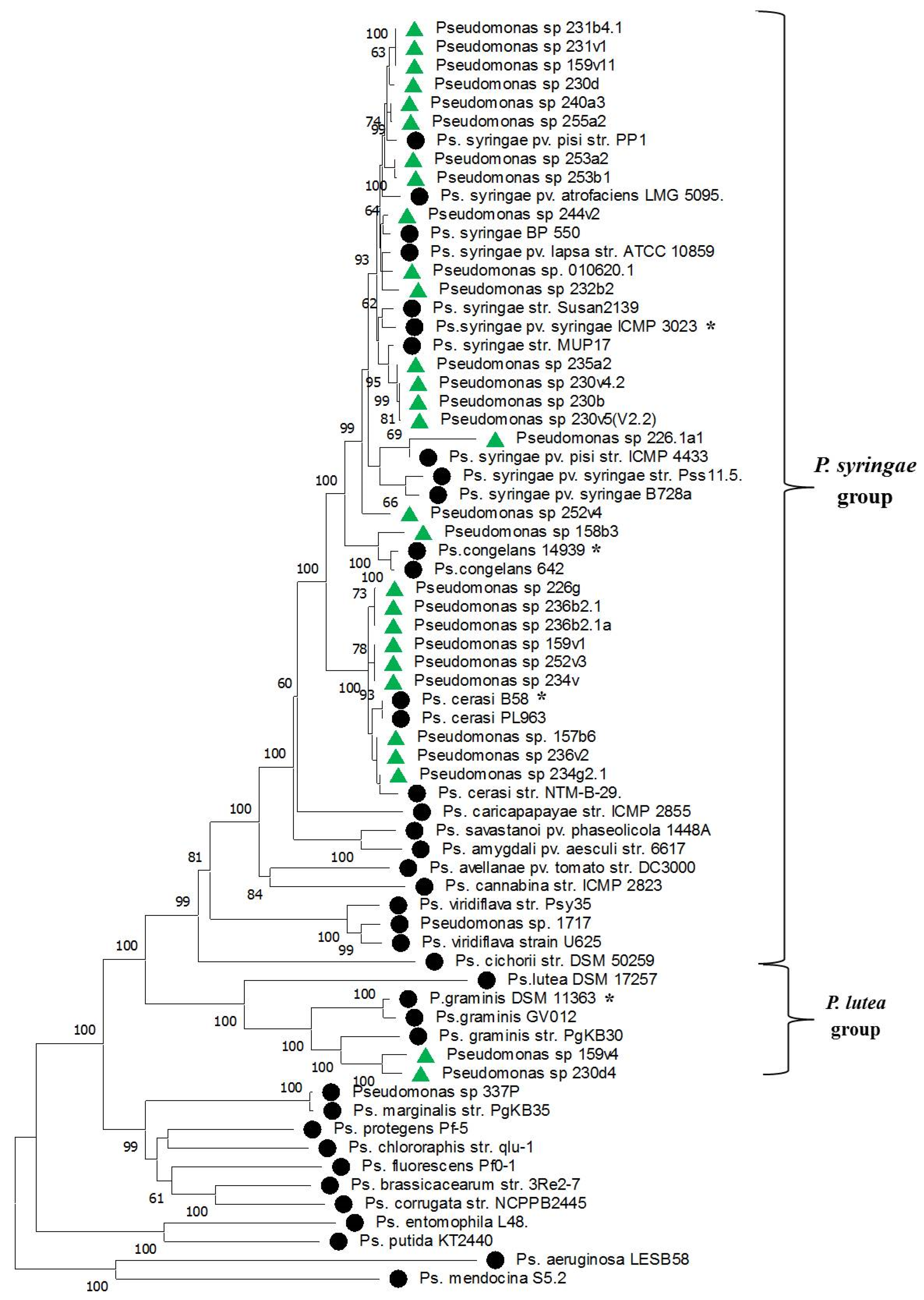 Plants 14 00563 g004