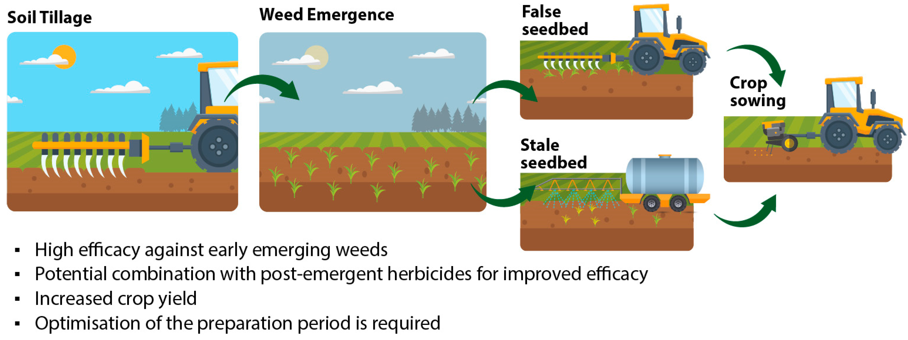 Plants 14 00564 g004
