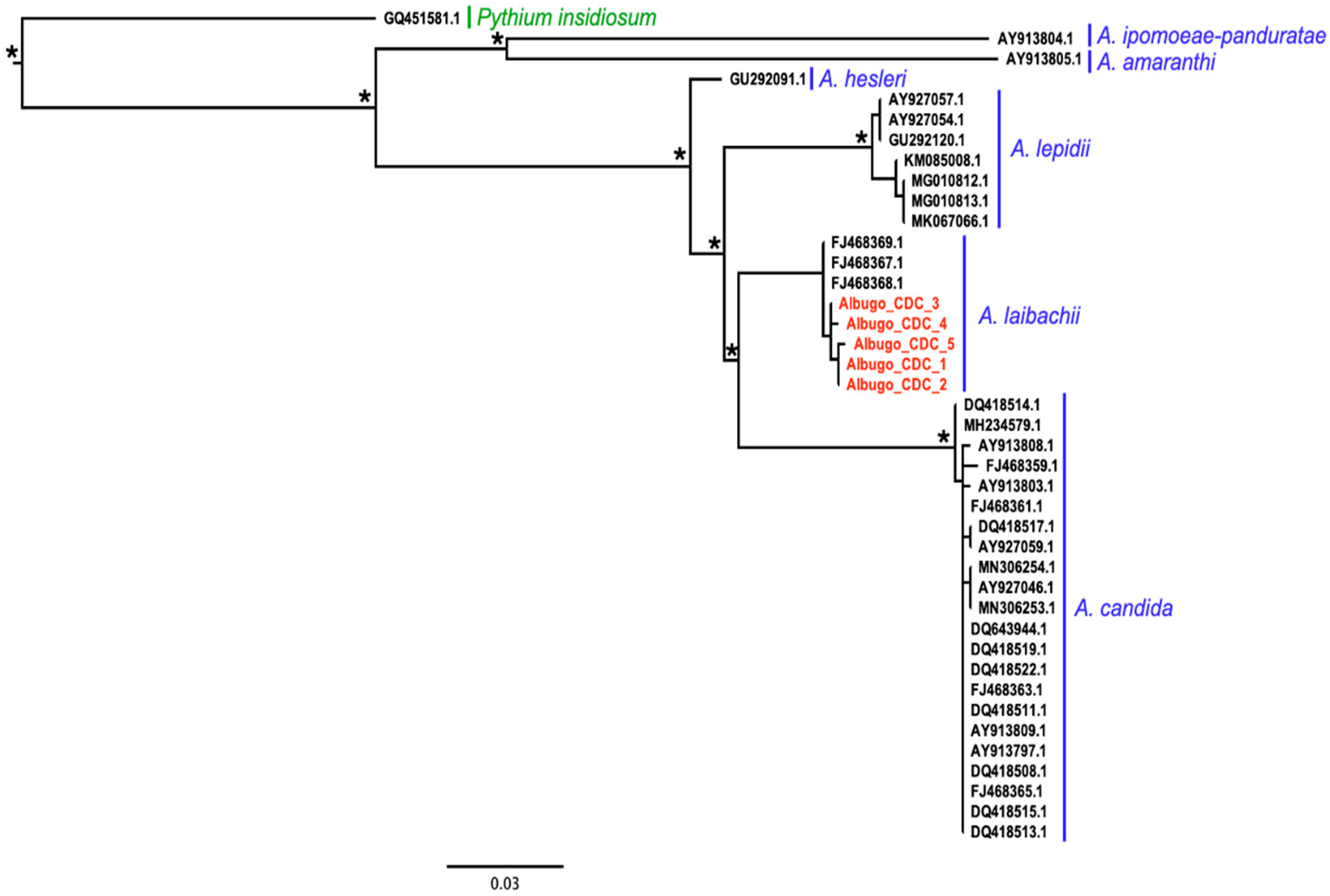 Plants 14 00568 g001