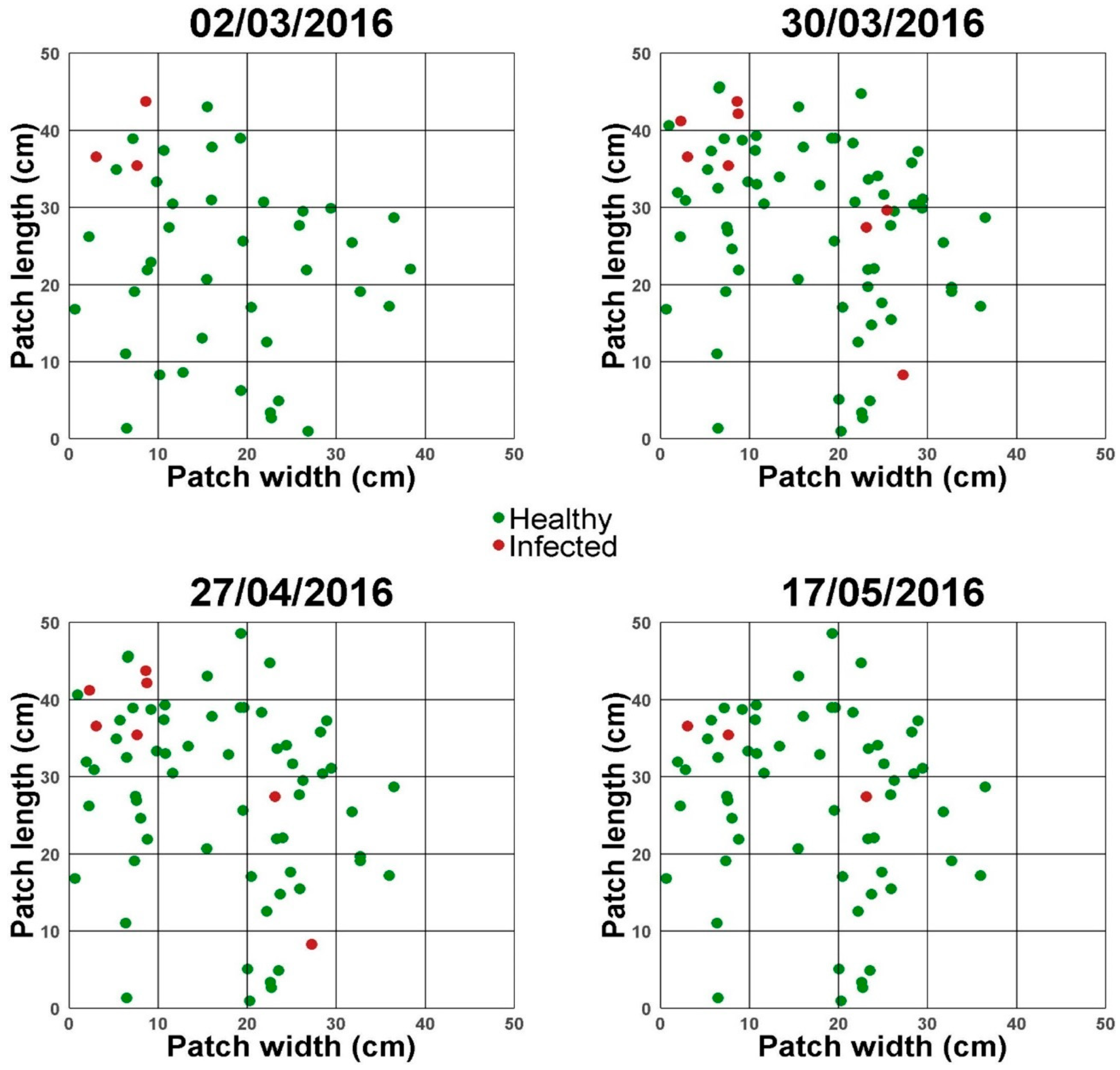 Plants 14 00568 g002