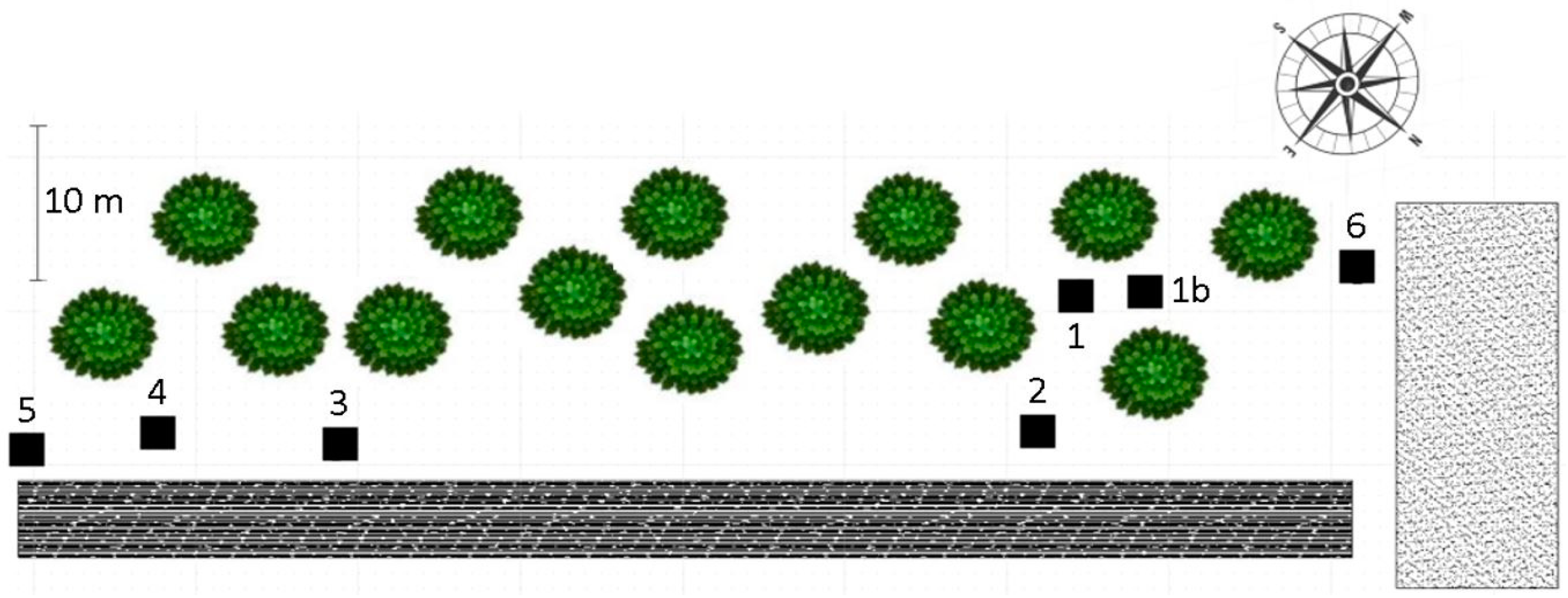 Plants 14 00568 g004