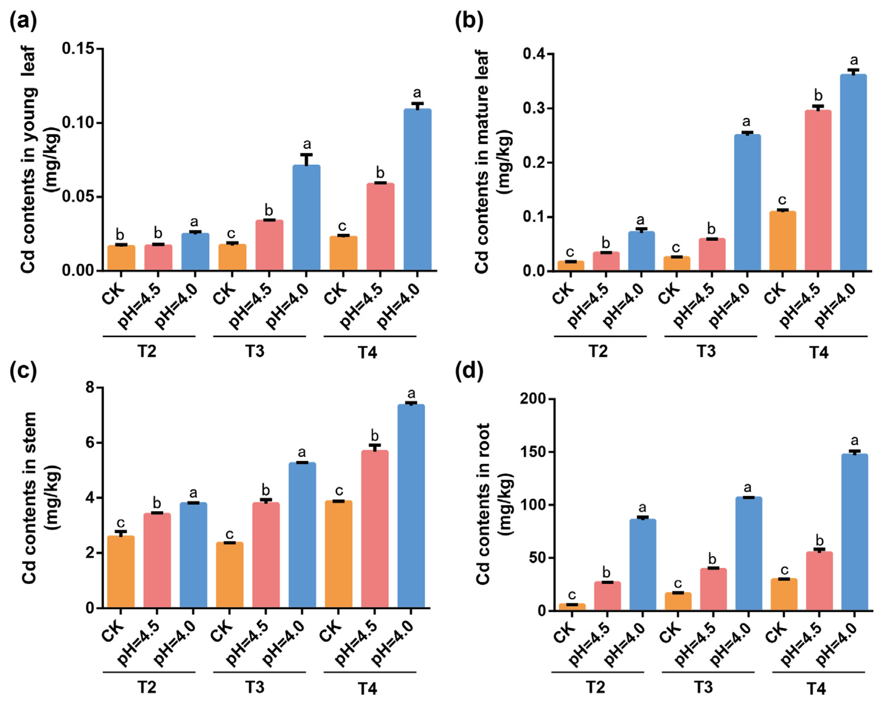 Plants 14 00570 g001