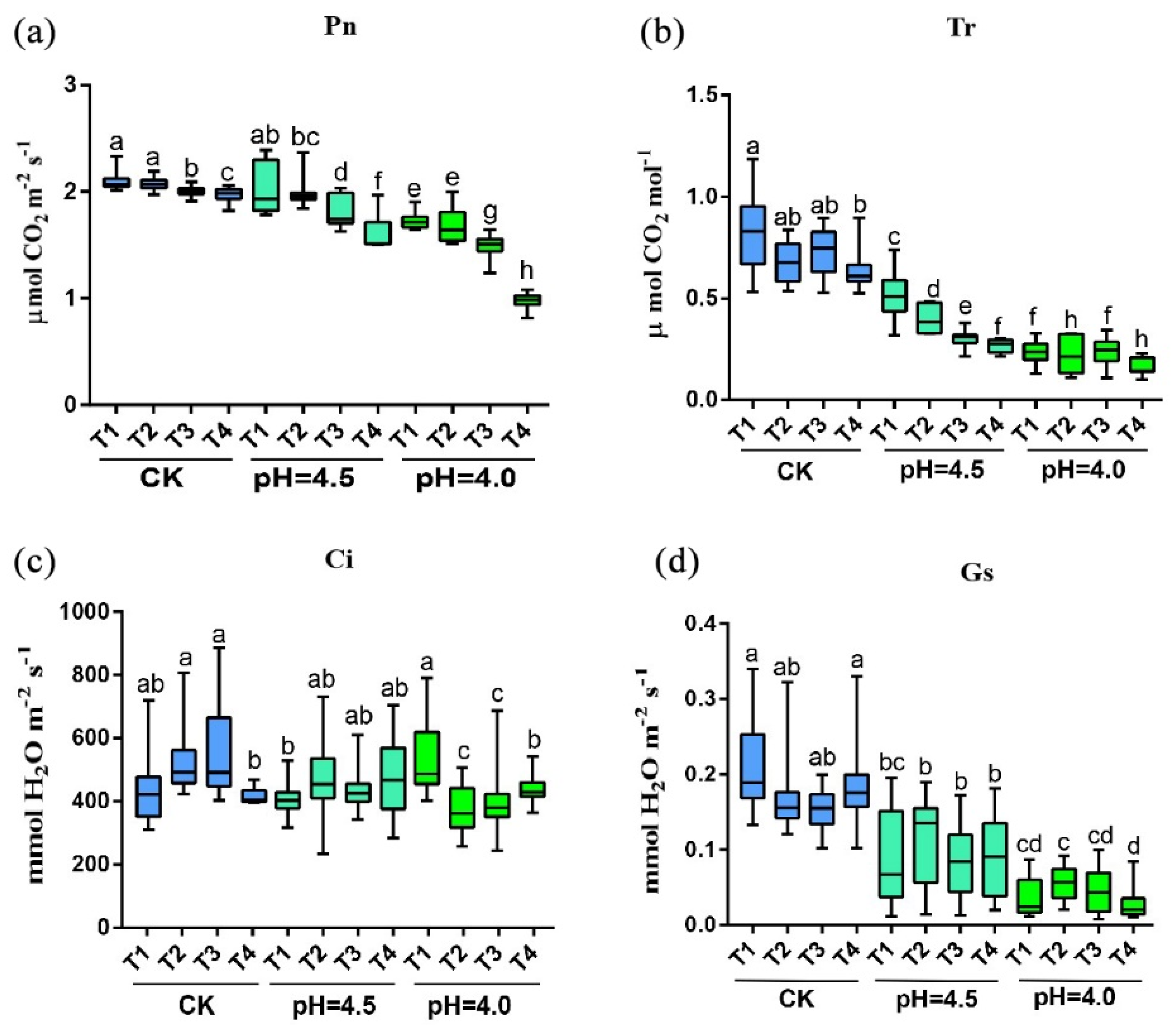 Plants 14 00570 g003