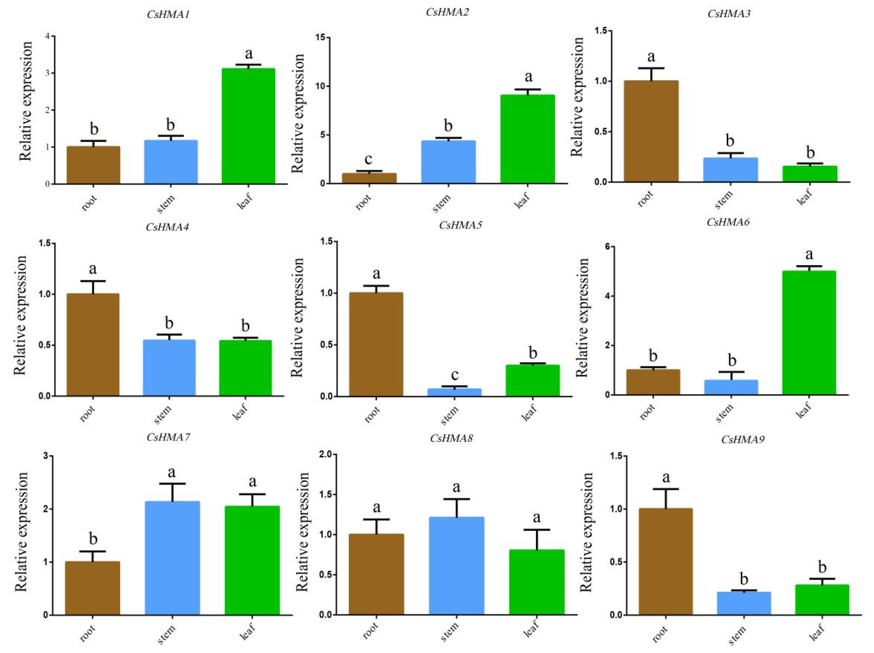 Plants 14 00570 g005