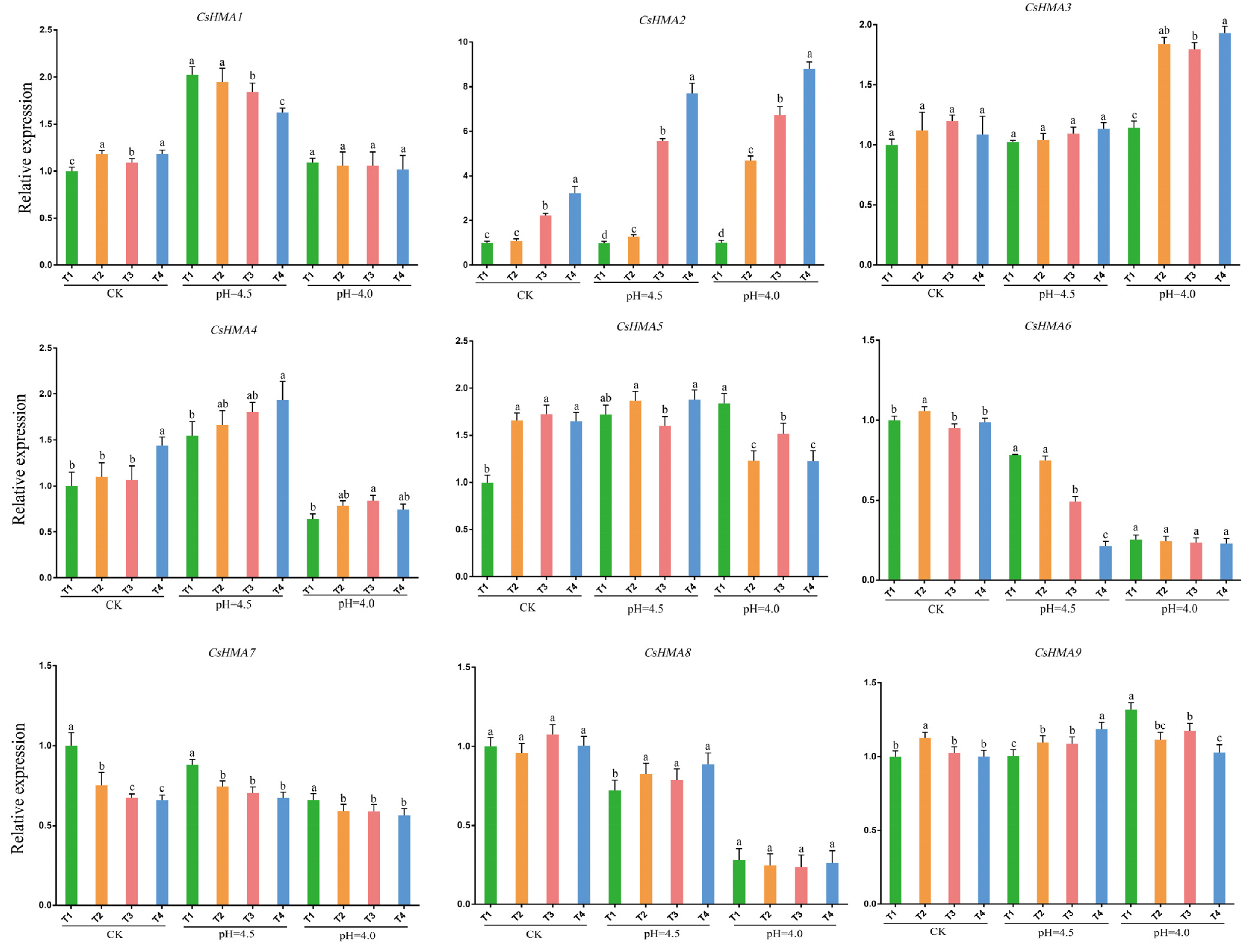 Plants 14 00570 g006