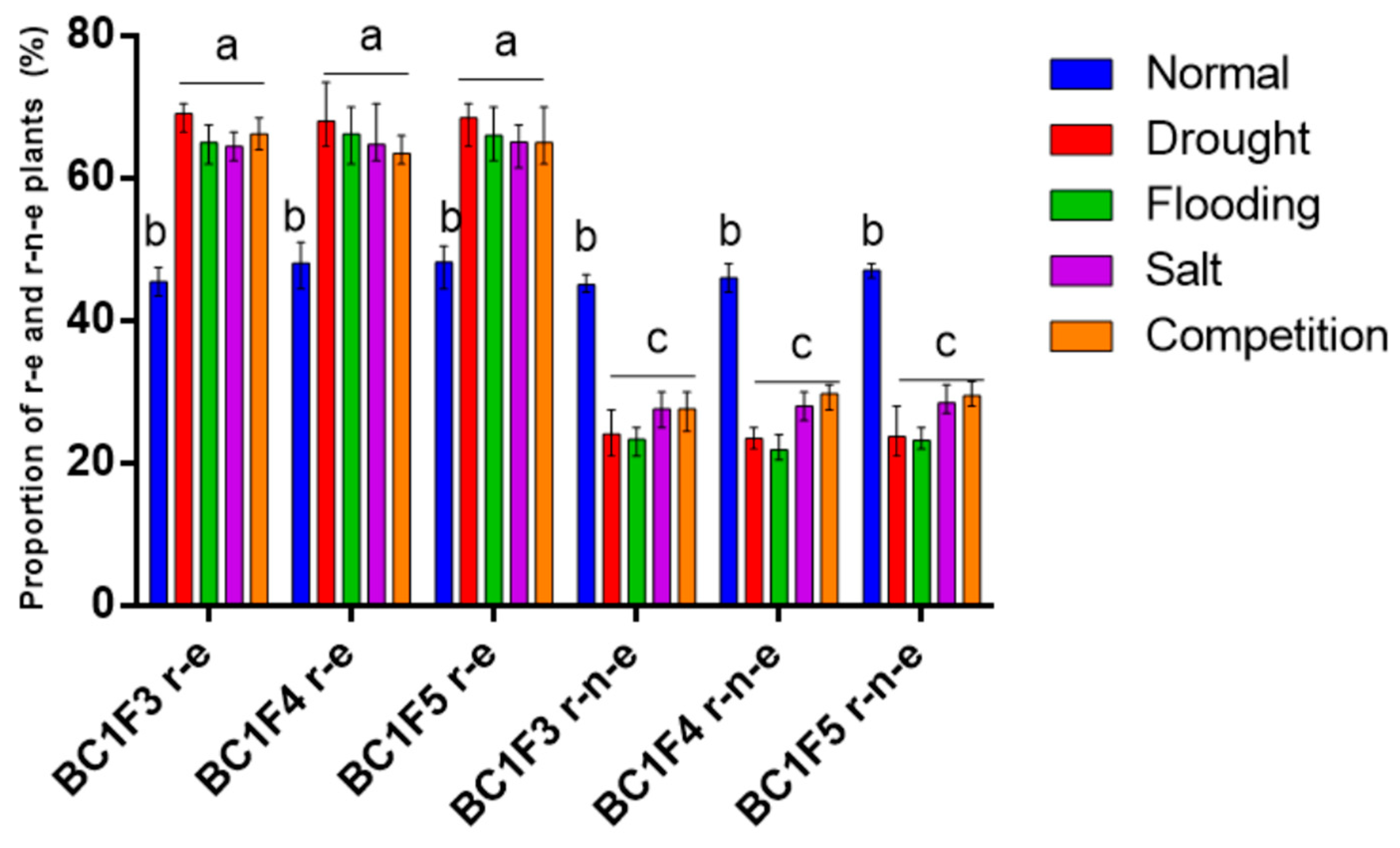 Plants 14 00572 g001