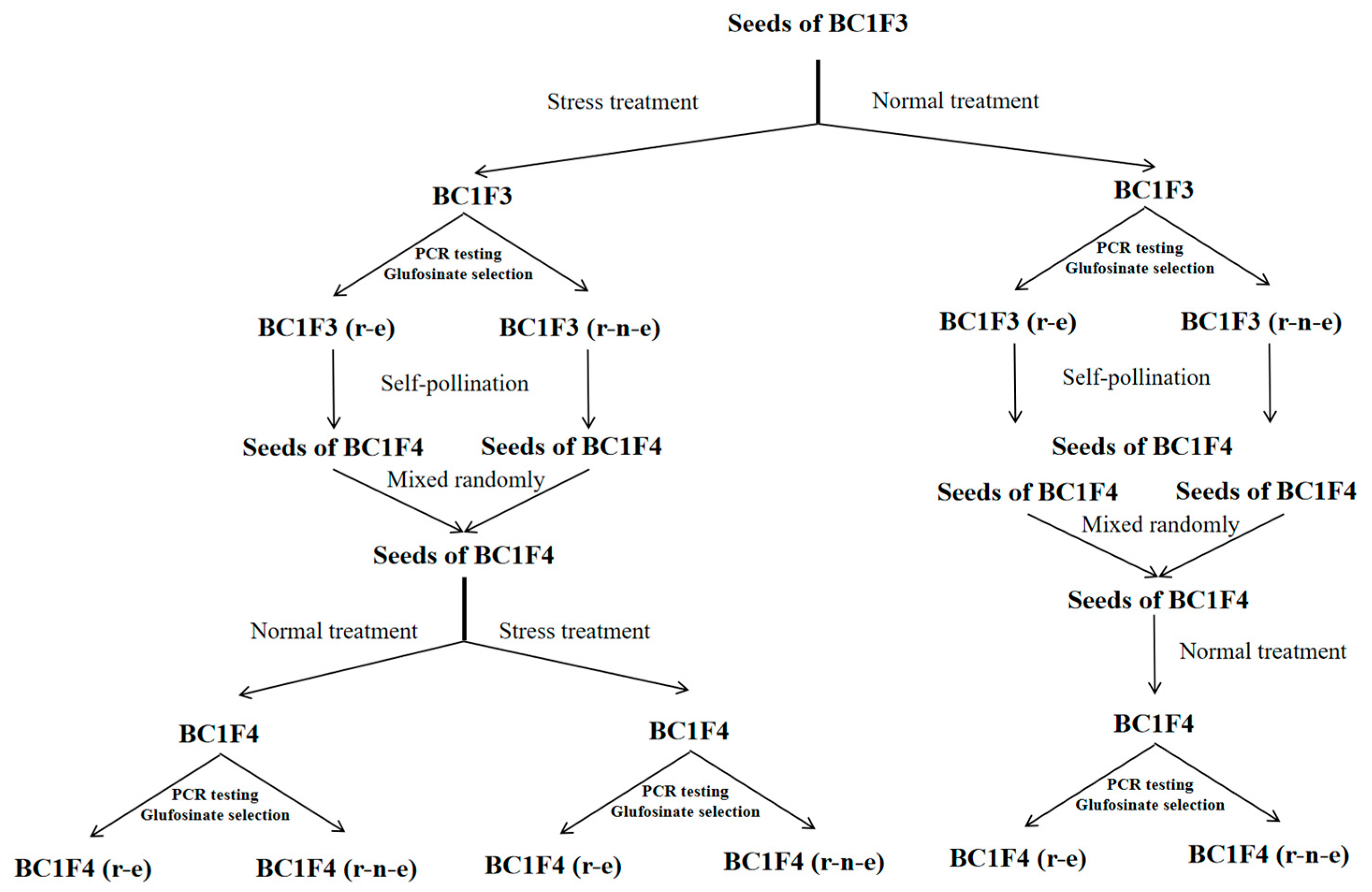 Plants 14 00572 g008
