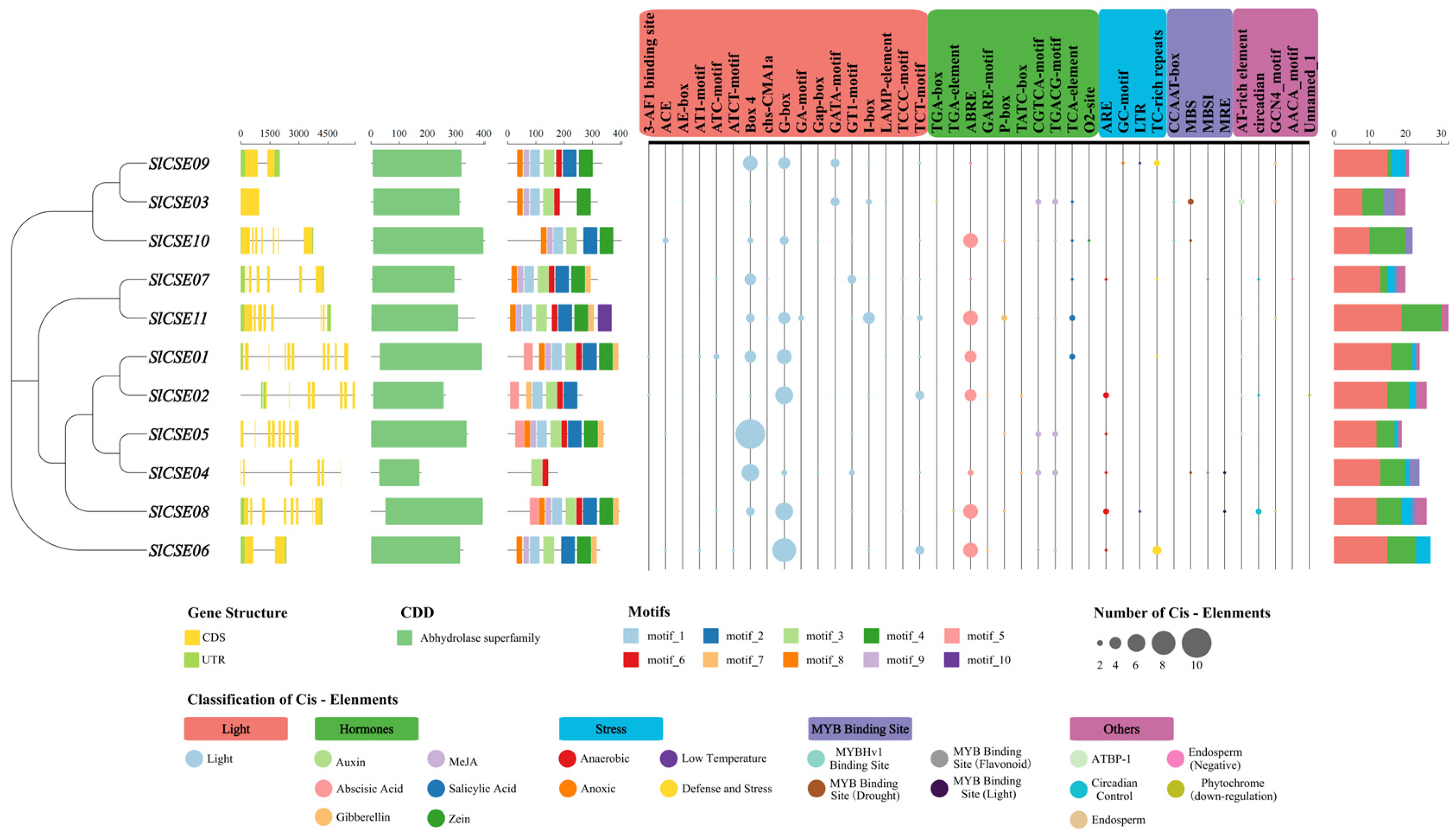 Plants 14 00575 g004