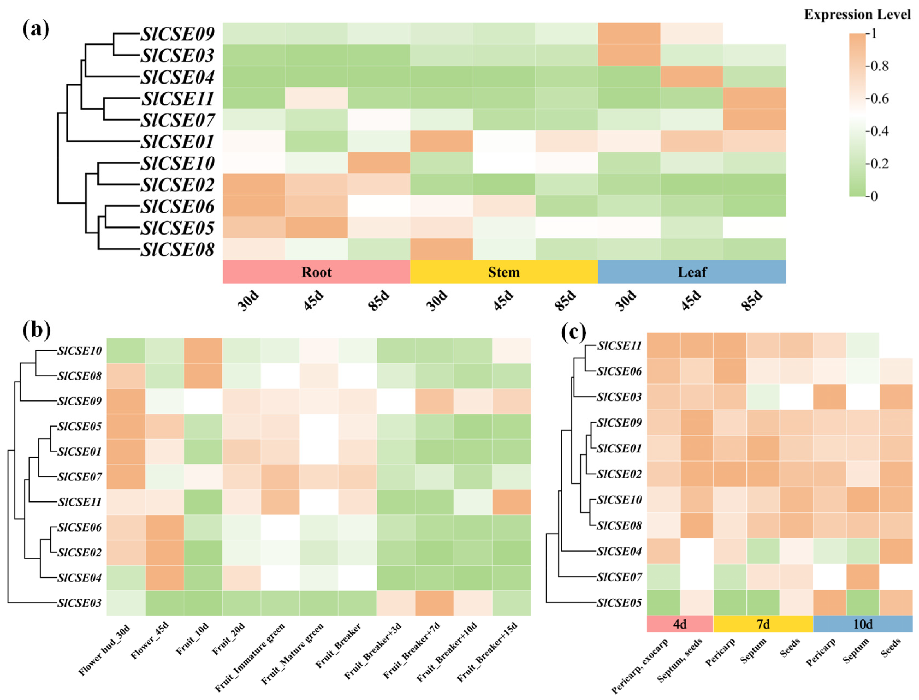 Plants 14 00575 g007