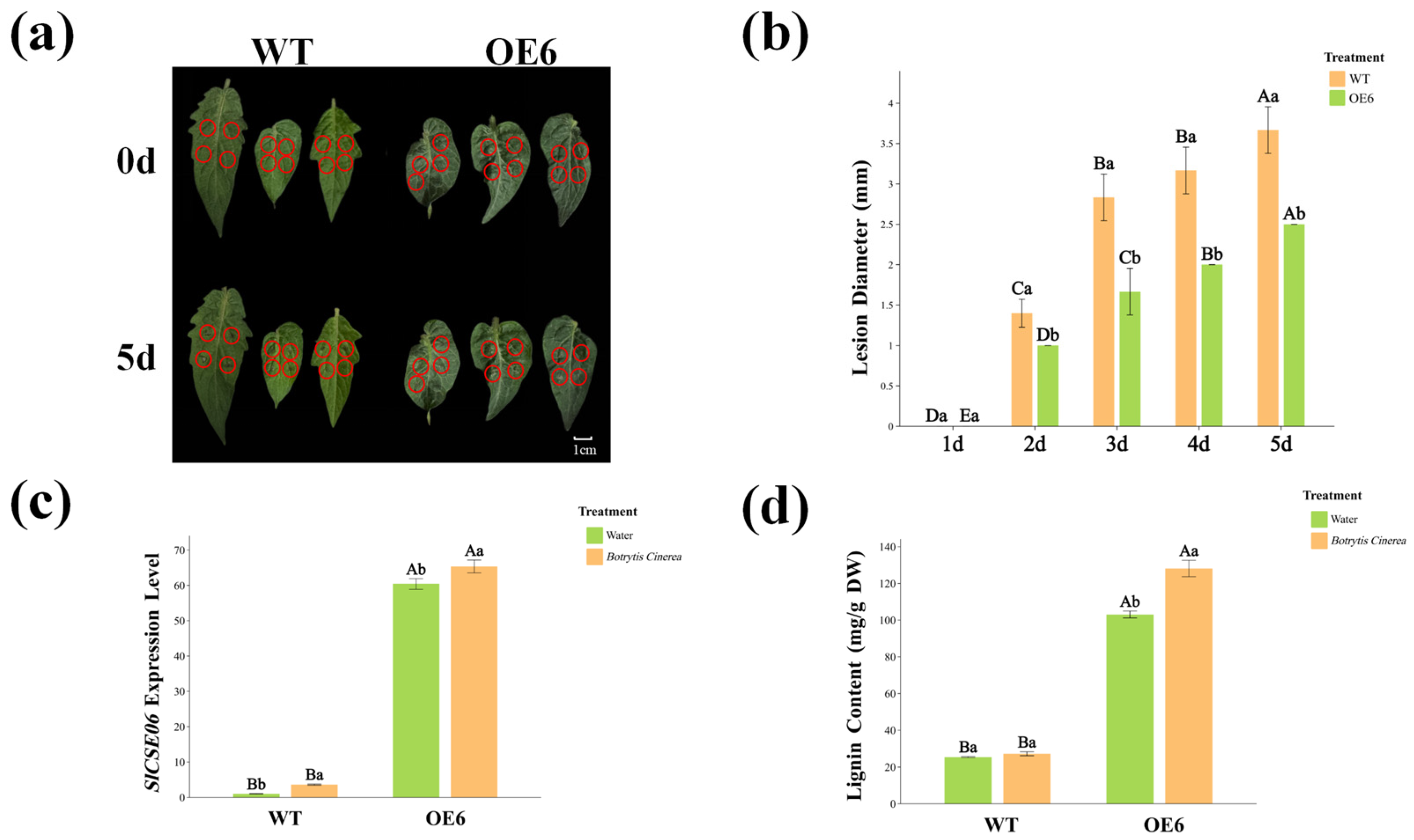 Plants 14 00575 g010