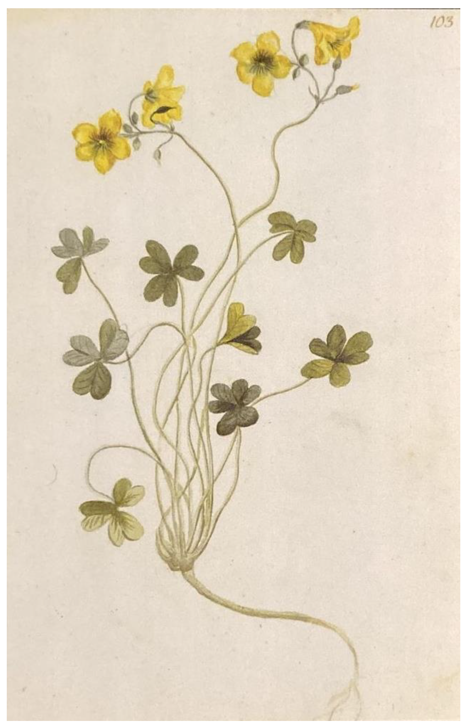 Plants 14 00578 g003