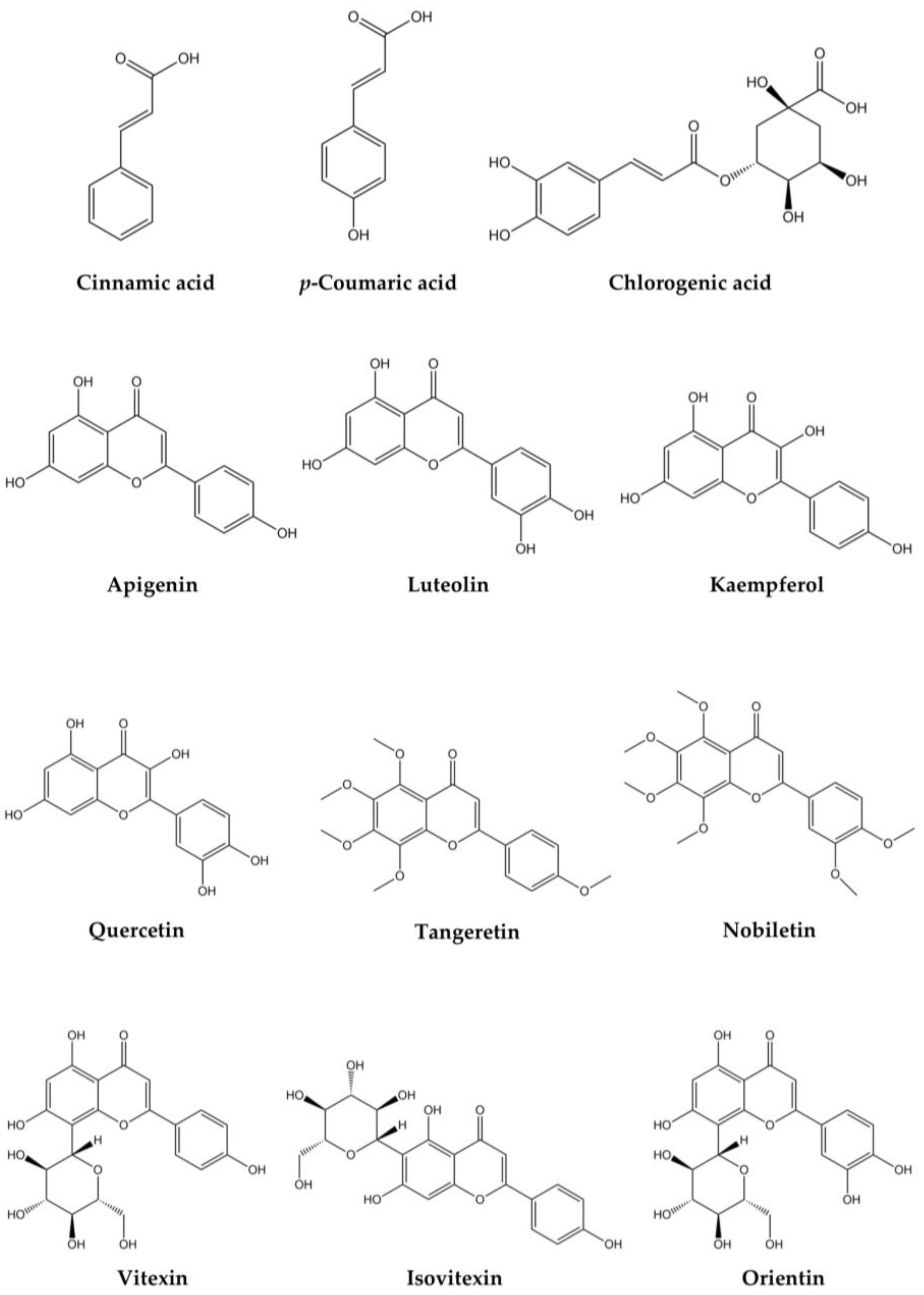 Plants 14 00578 g005