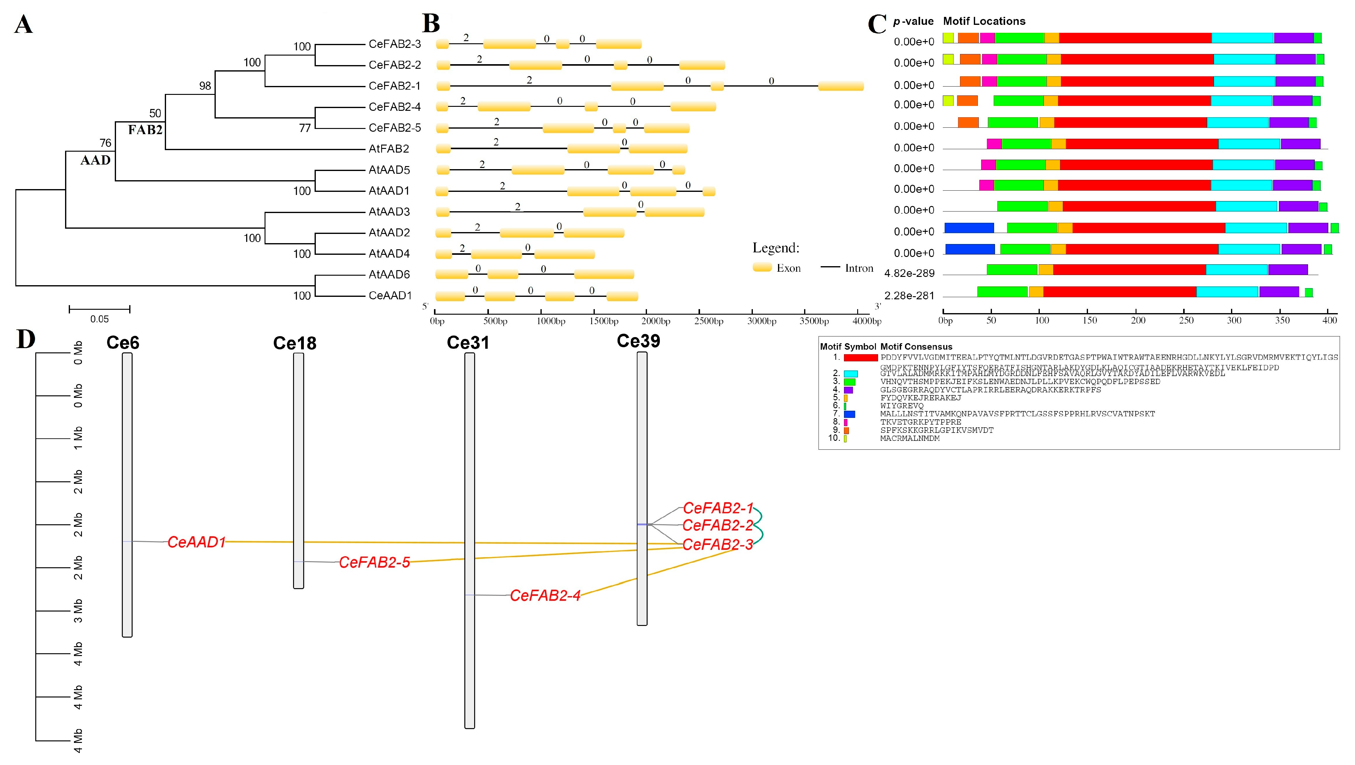 Plants 14 00584 g002