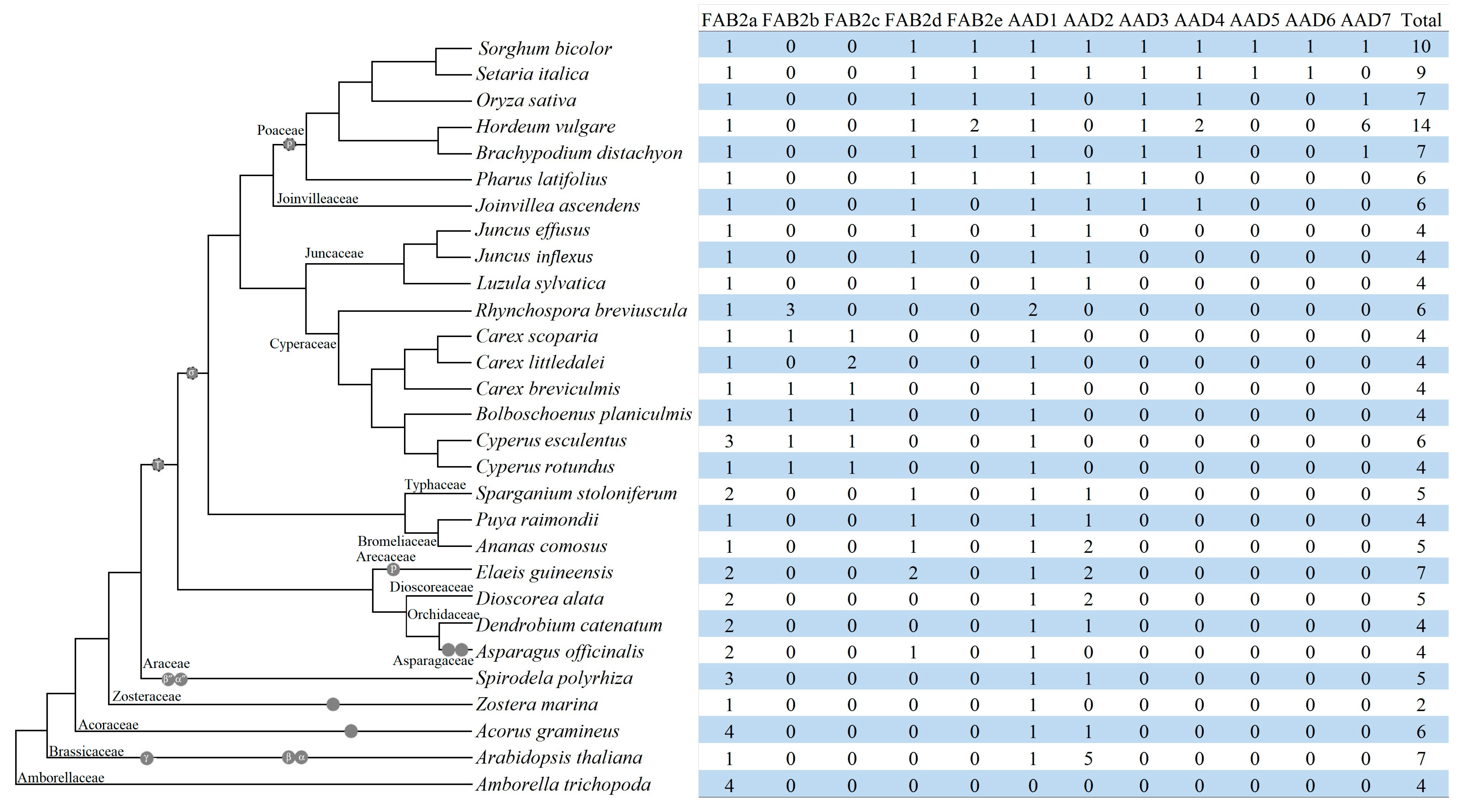 Plants 14 00584 g003