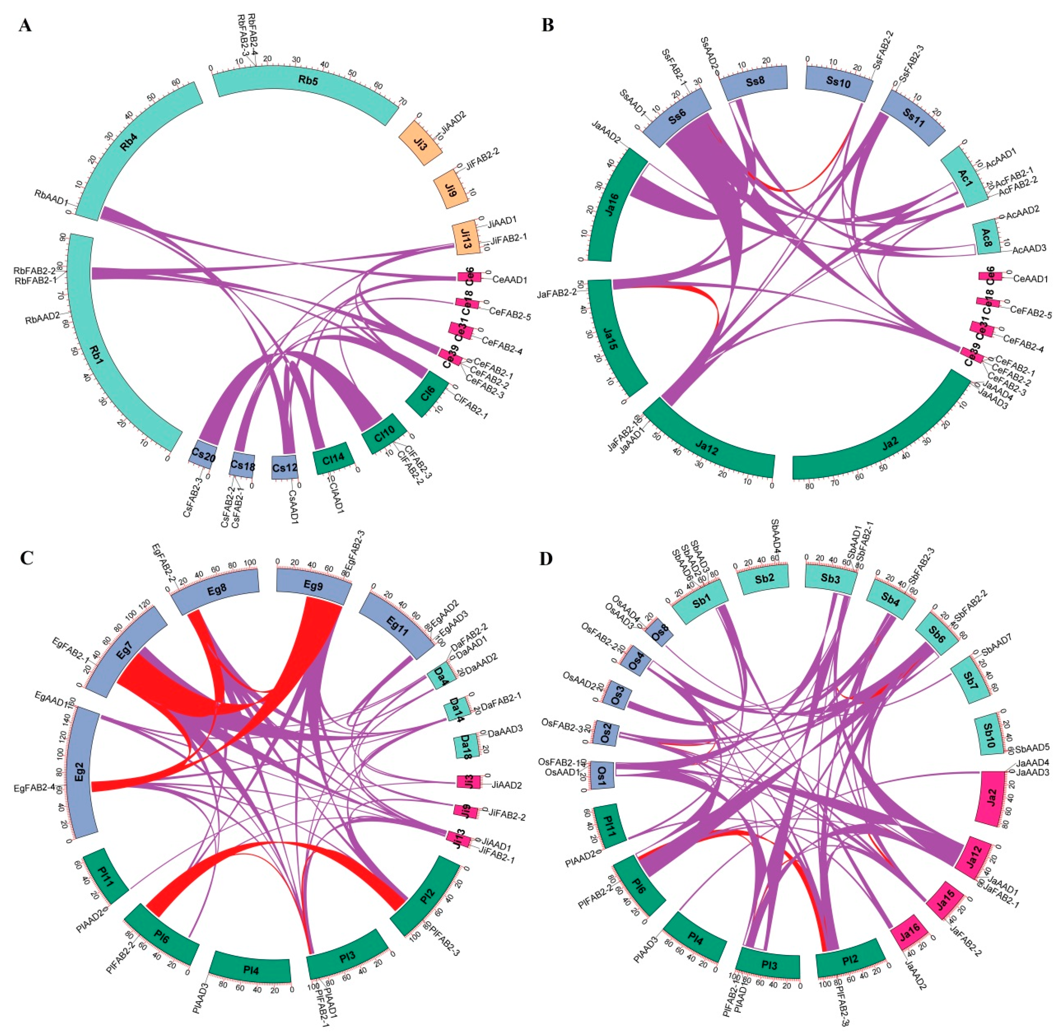 Plants 14 00584 g004