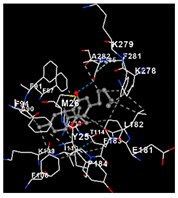 Plants 14 00585 i005