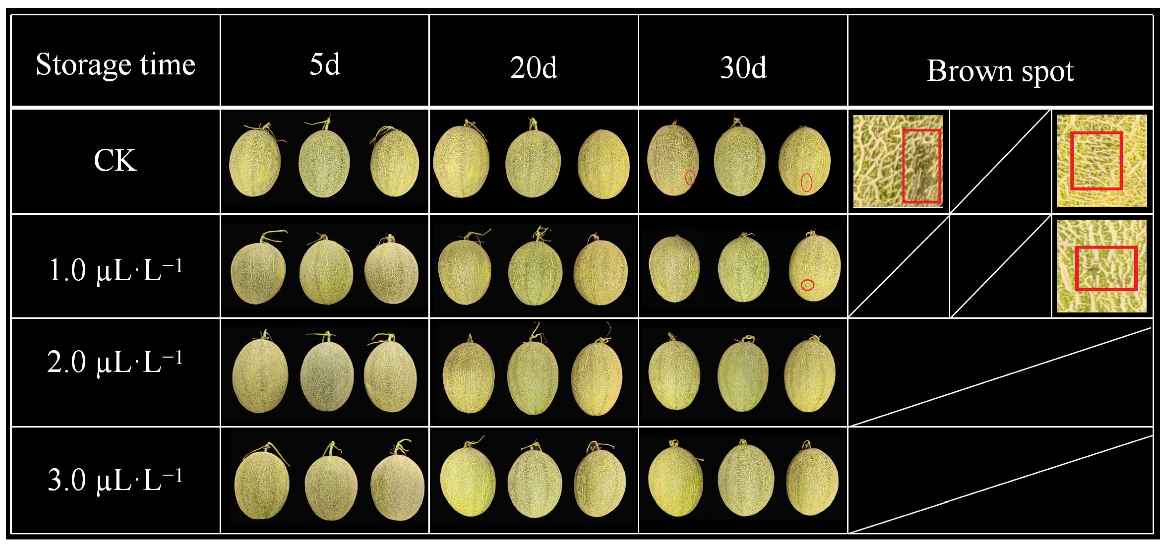 Plants 14 00586 g001