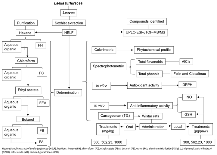 Plants 14 00588 i0a1 Plants 14 00588 i0a1
