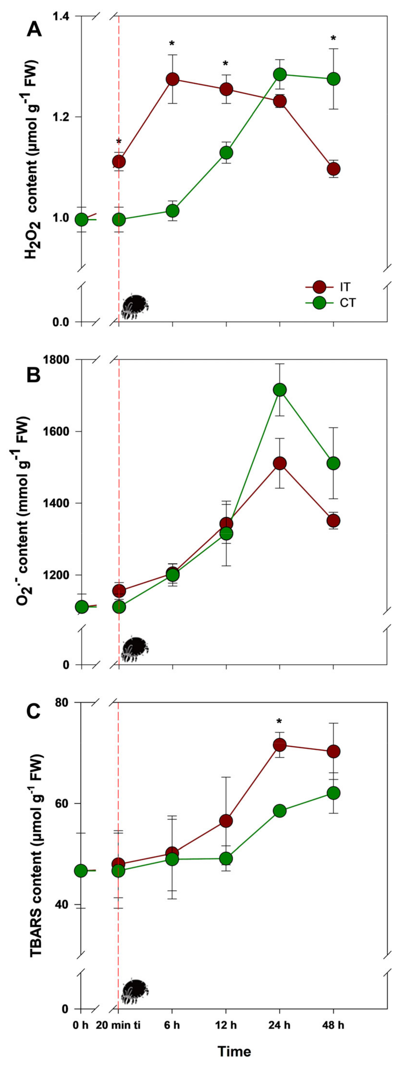 Plants 14 00590 g001