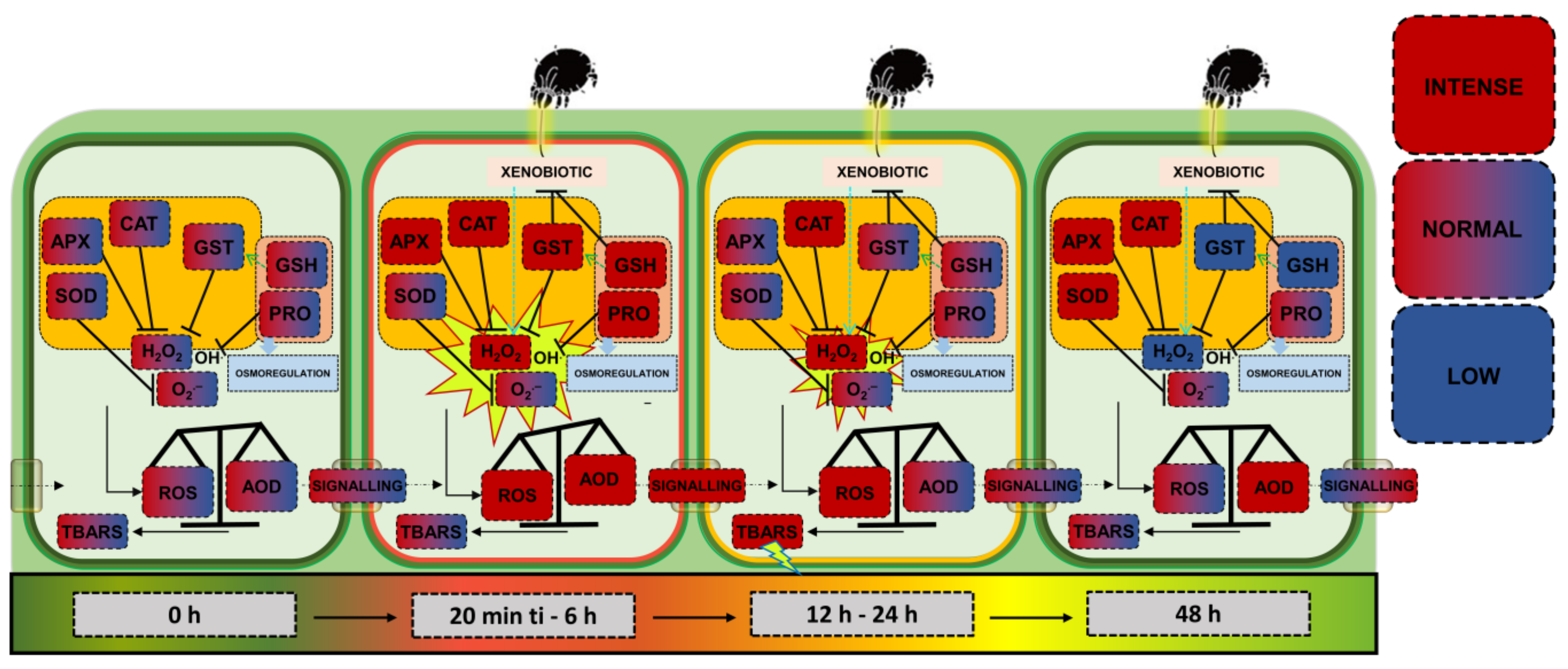 Plants 14 00590 g007
