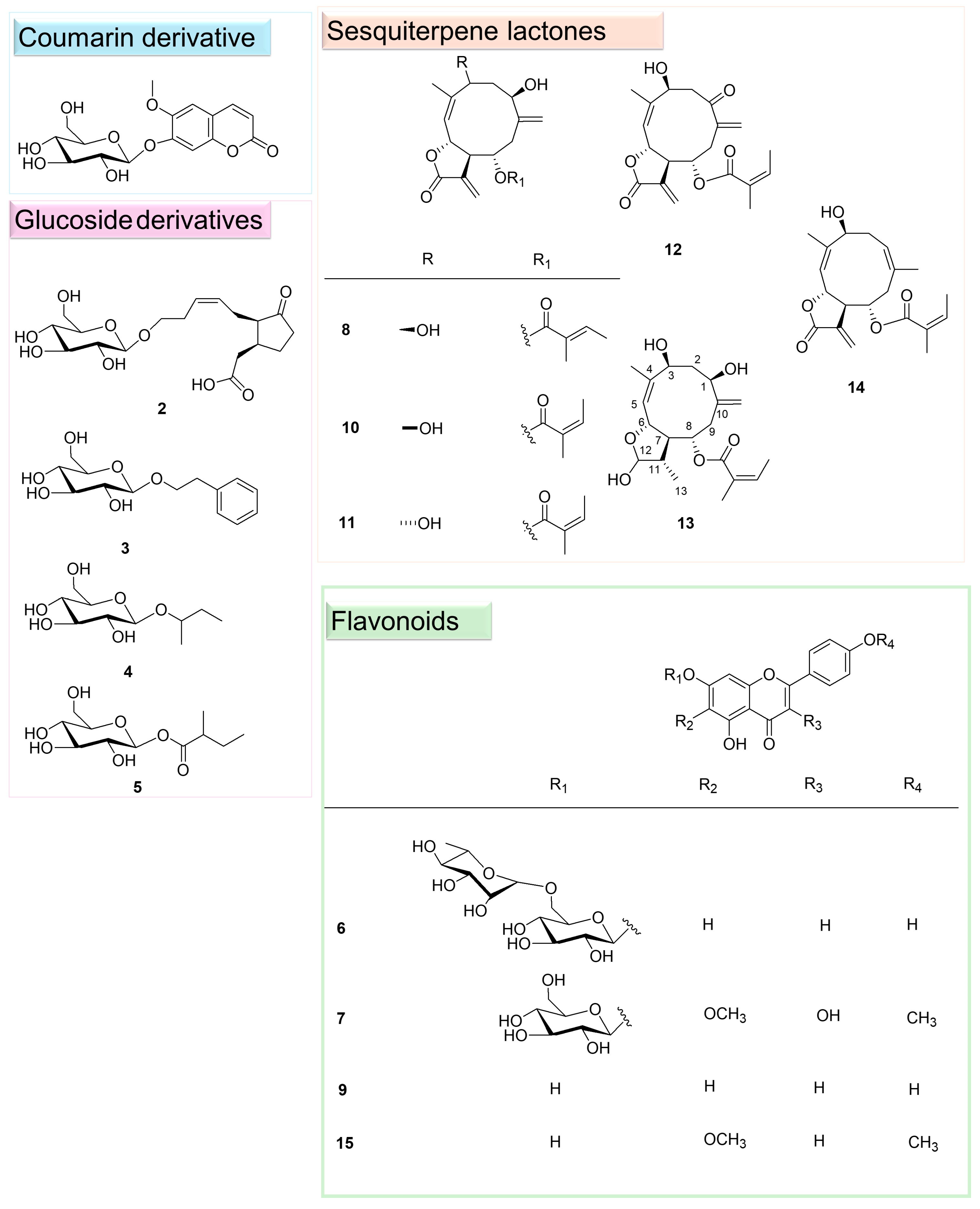 Plants 14 00595 g002 Plants 14 00595 g002