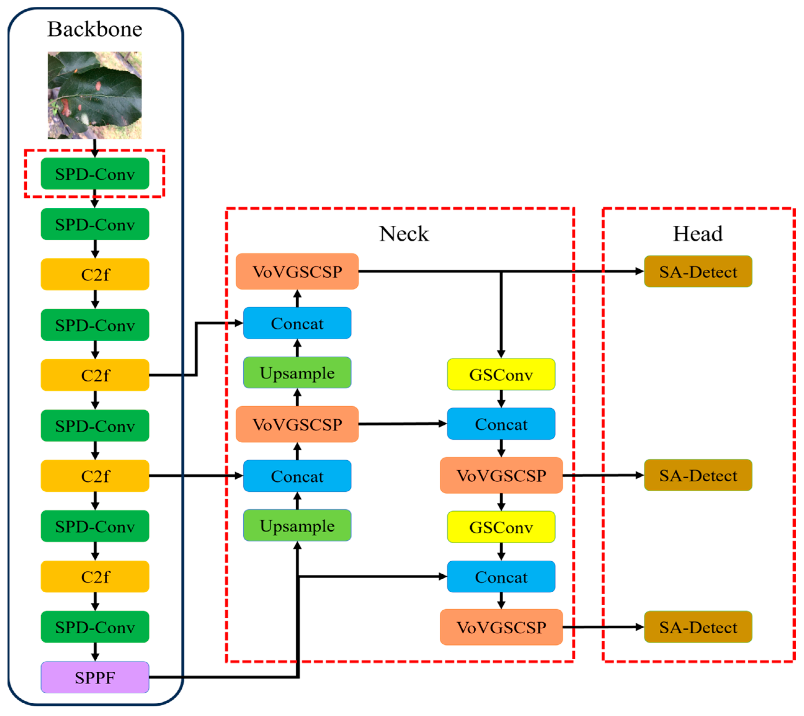 Plants 14 00599 g002