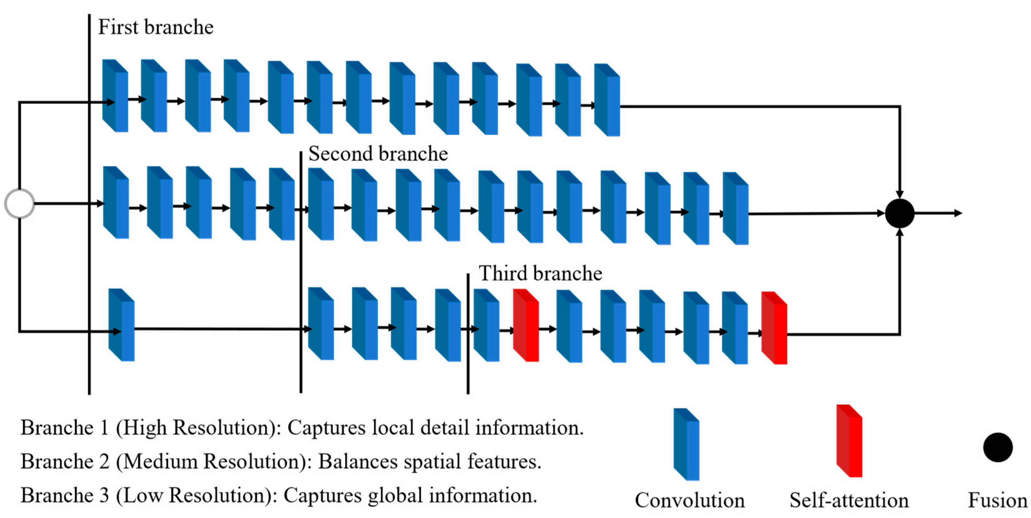 Plants 14 00599 g006