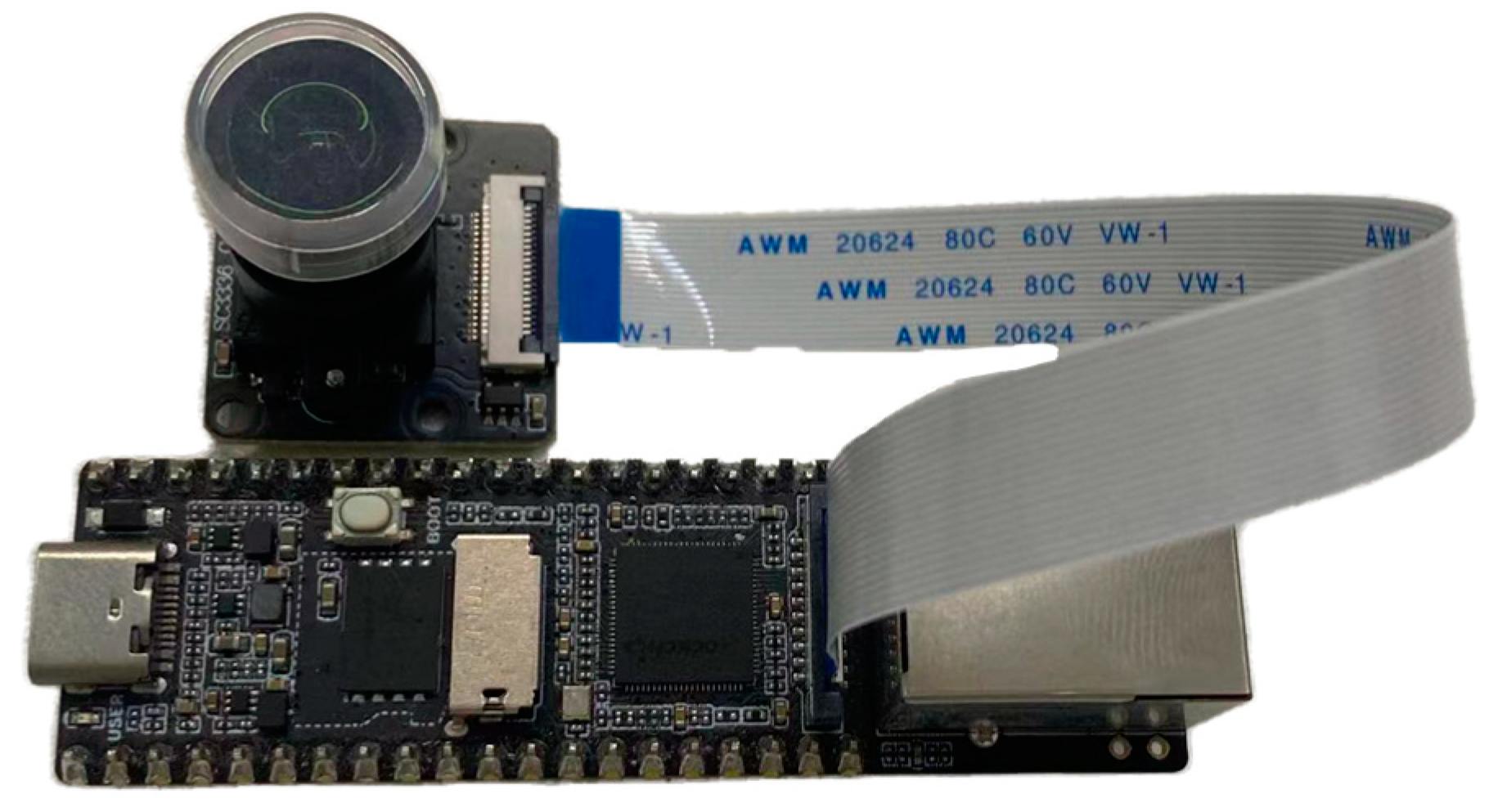 Plants 14 00599 g008