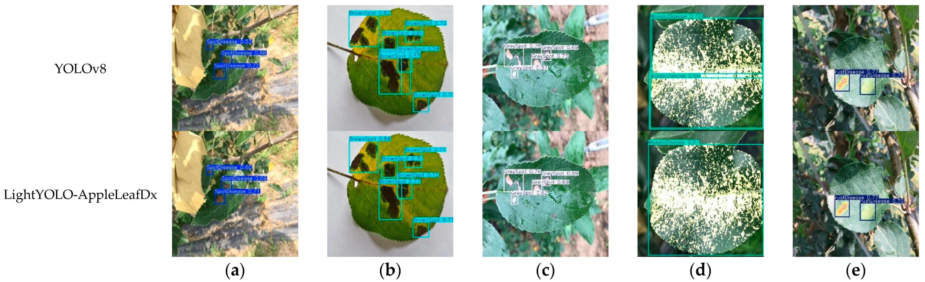 Plants 14 00599 g010