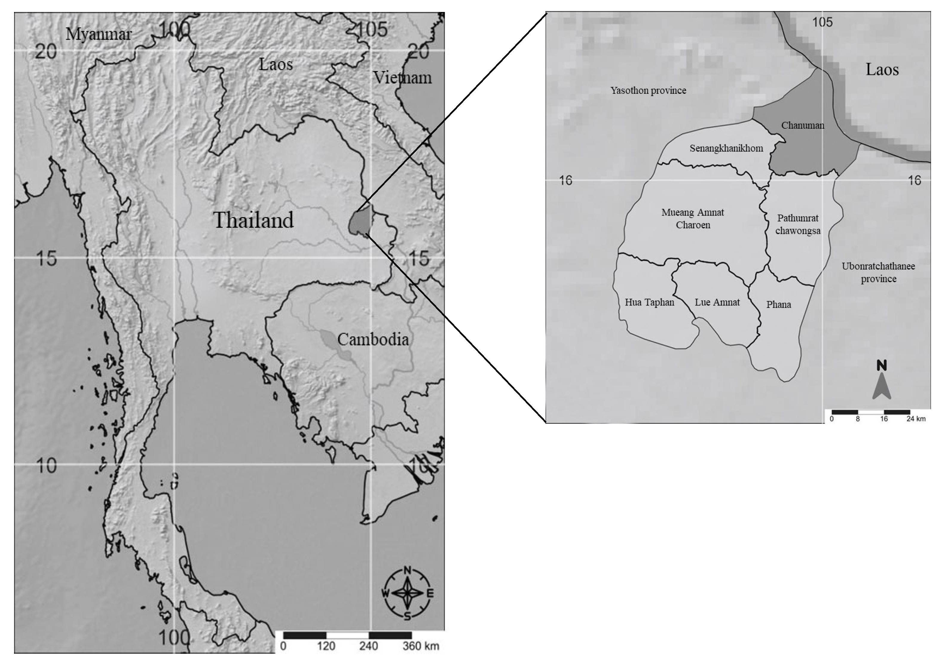 Plants 14 00602 g001