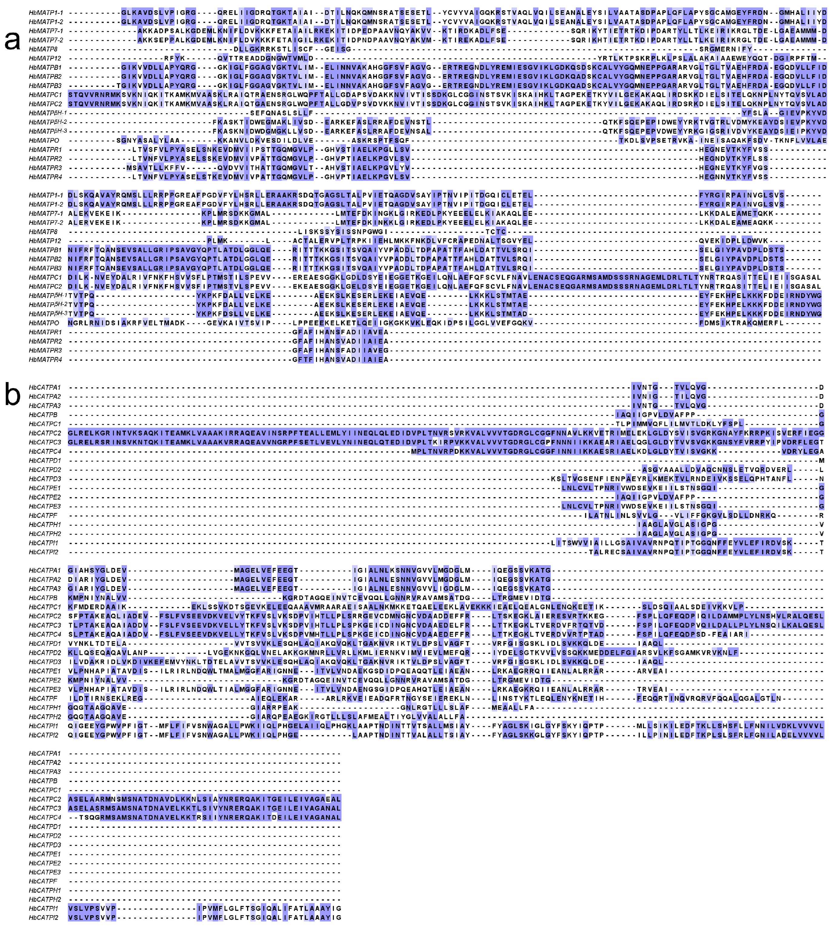 Plants 14 00604 g002